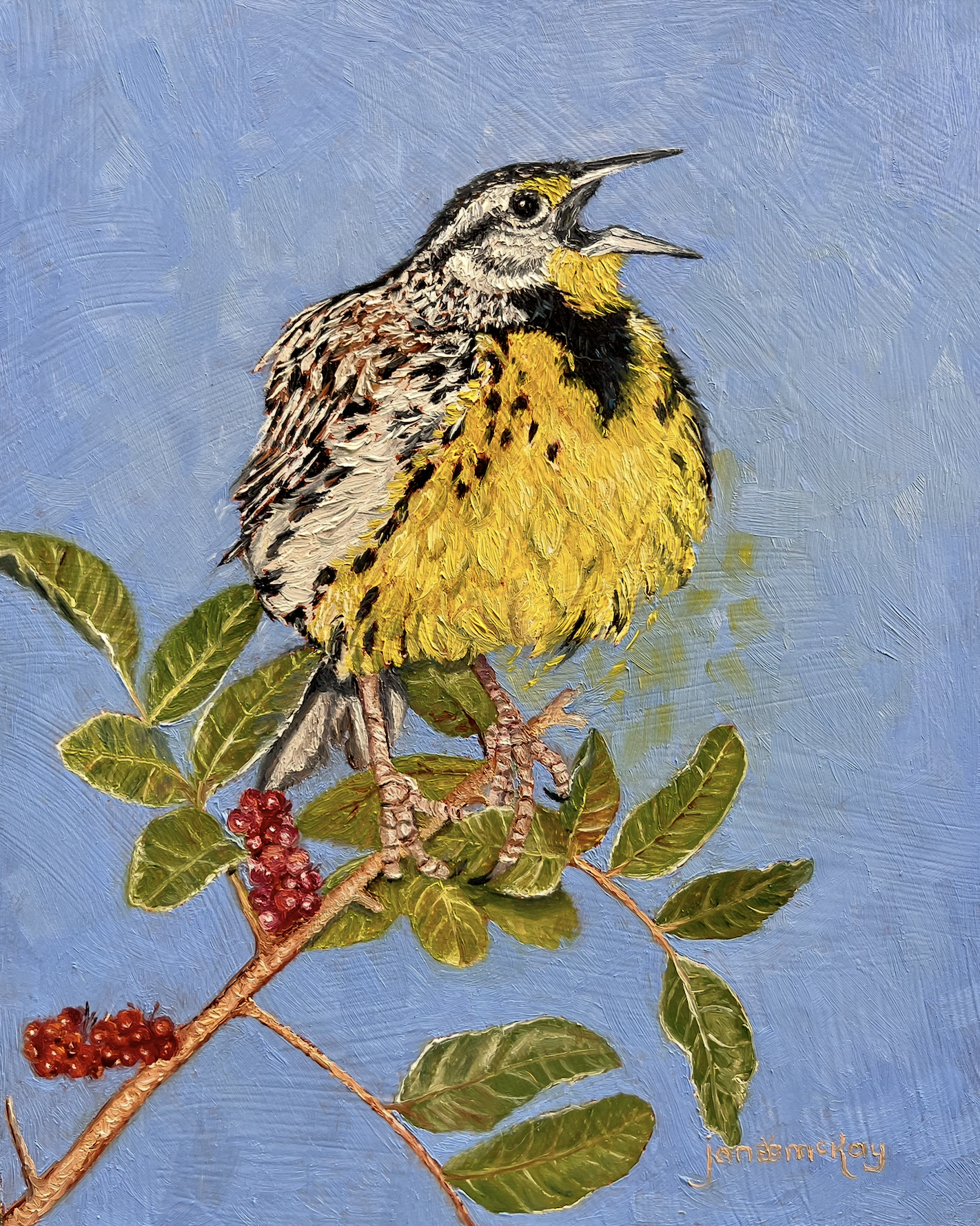 Meadow Lark in Song.png