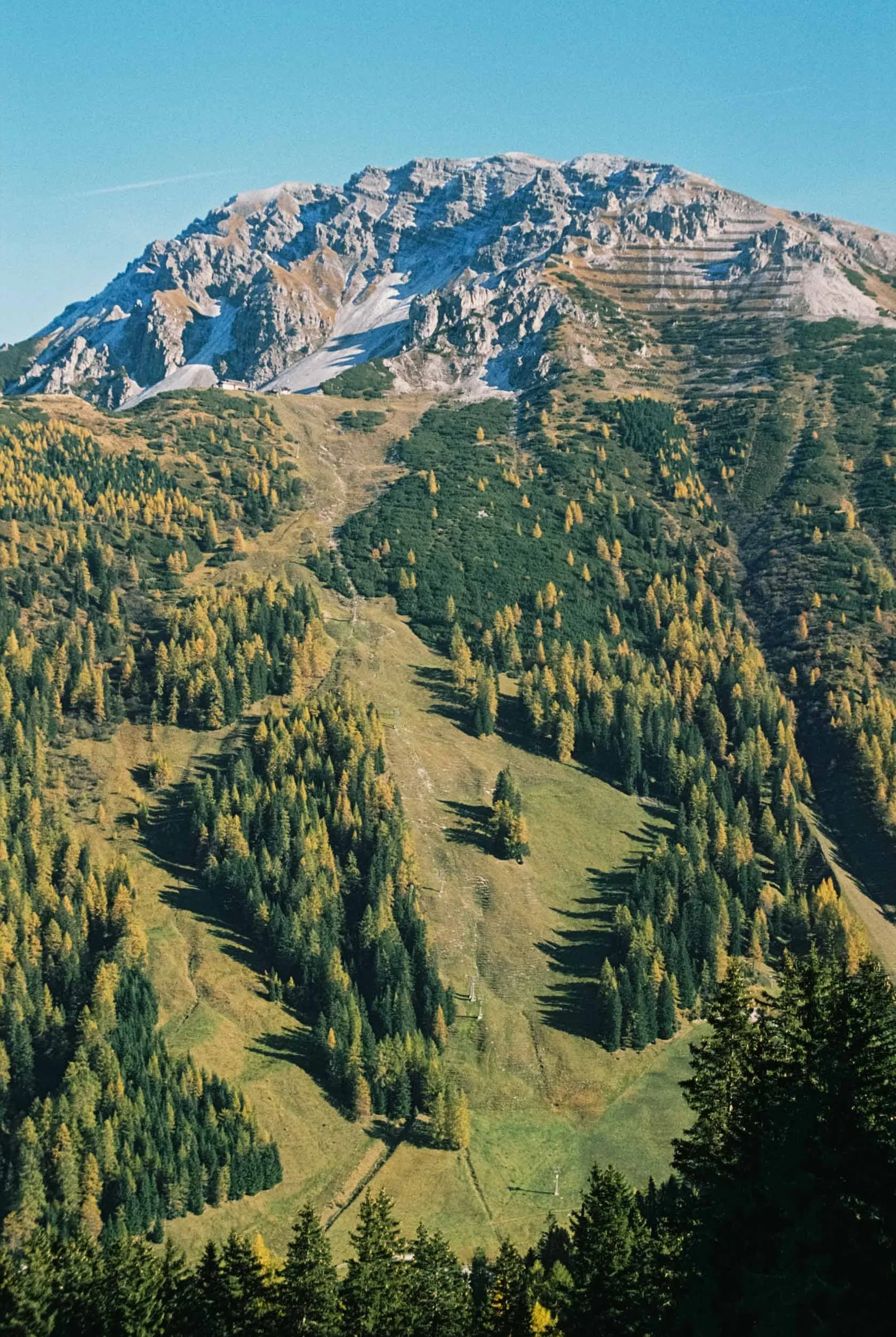 AS-42.jpg