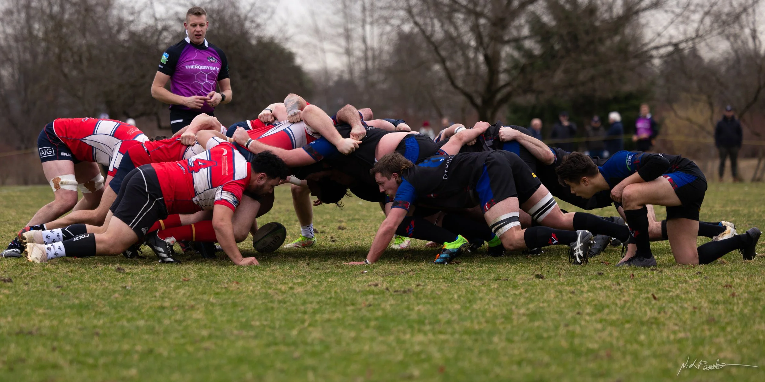 ravens2022jan29-4.JPG