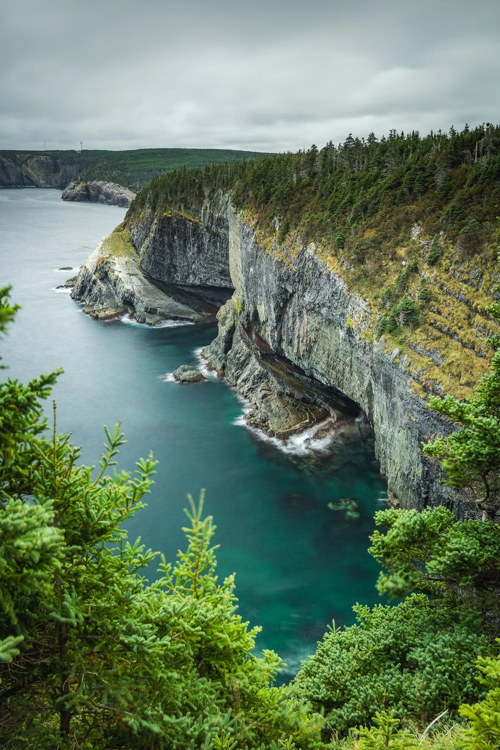 Newfoundland 024.jpg