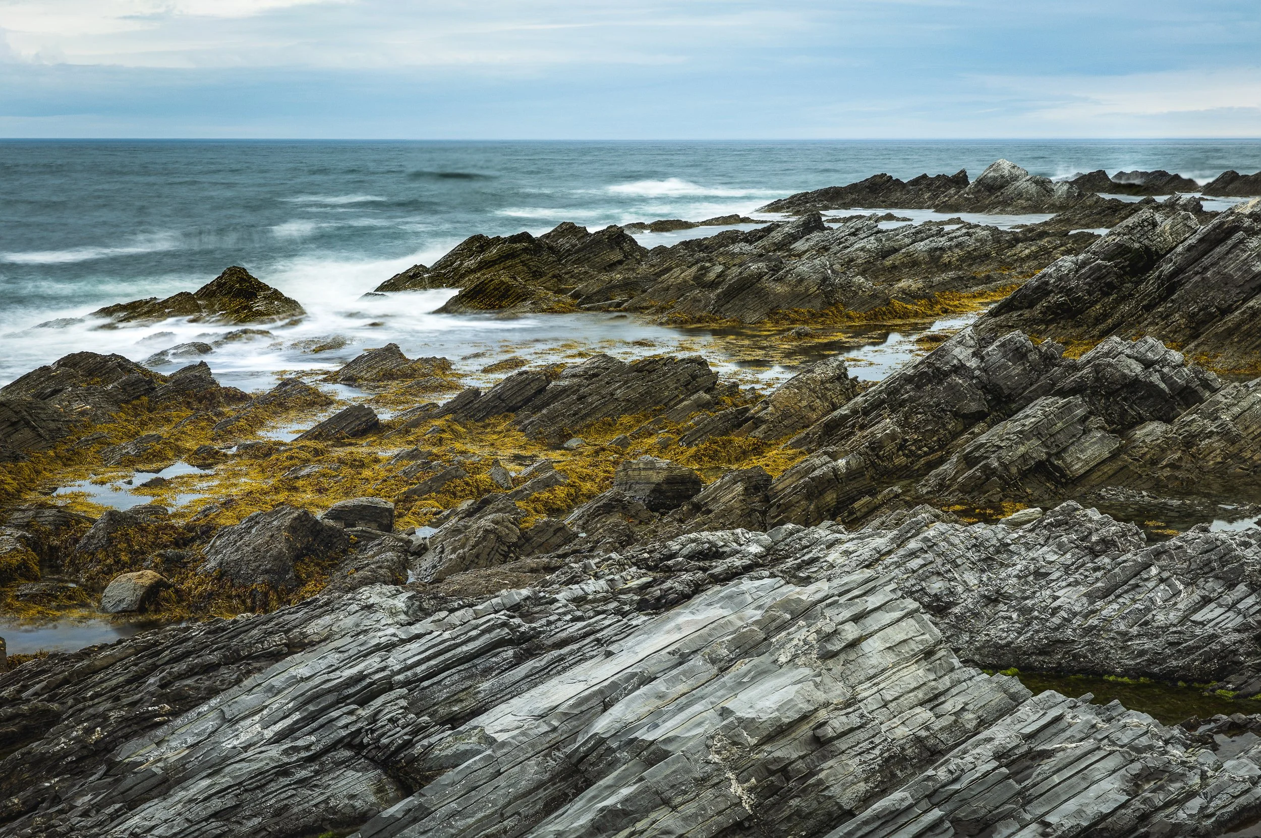 Newfoundland 003.jpg