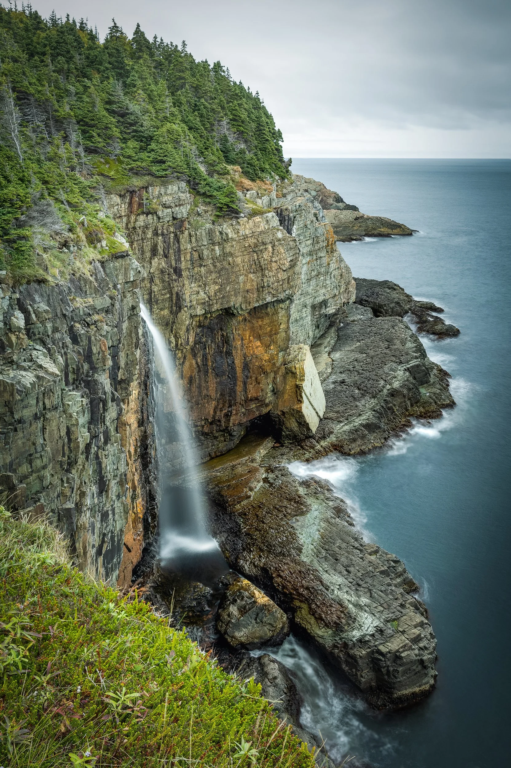 Newfoundland 026.jpg