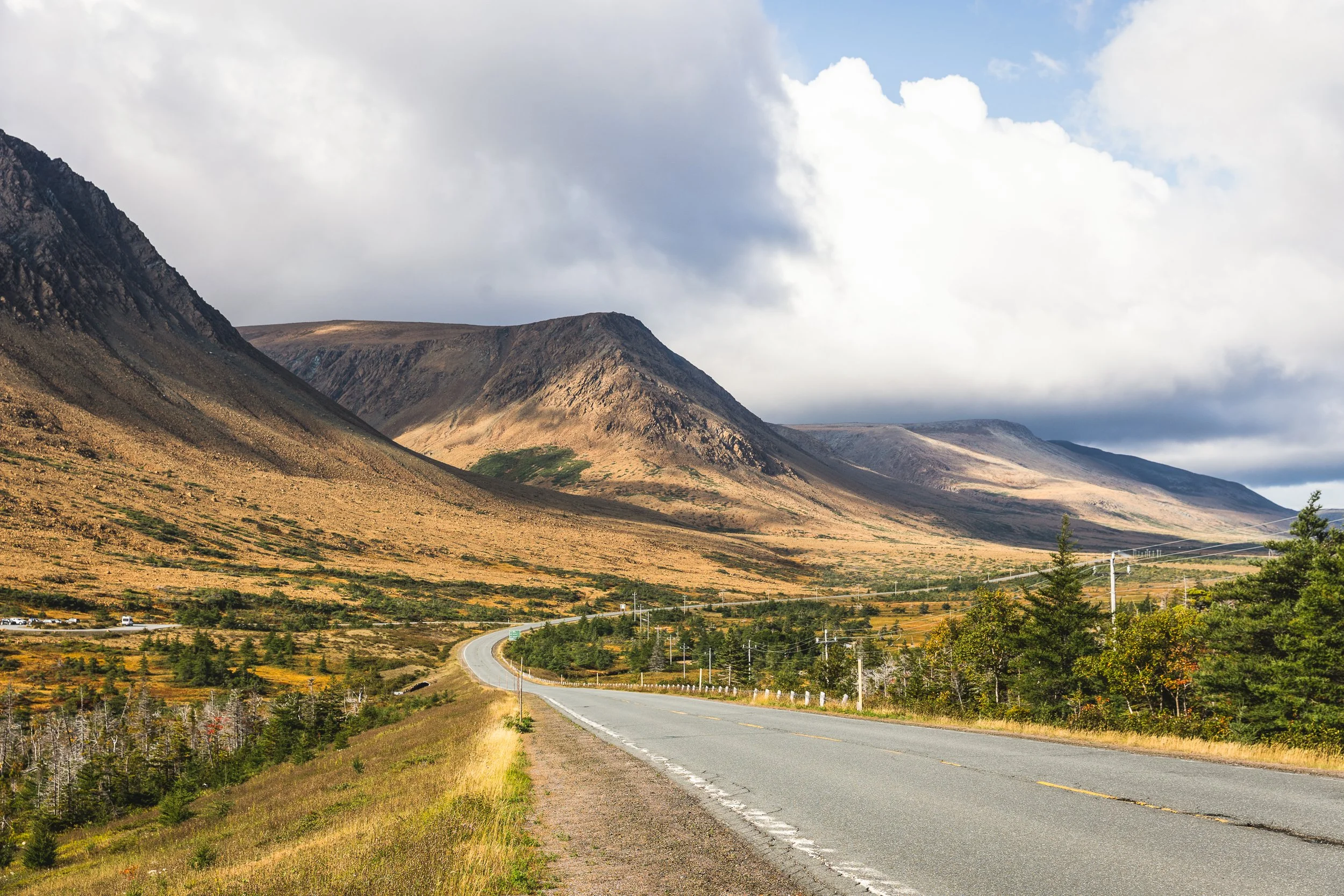 Newfoundland 005.jpg