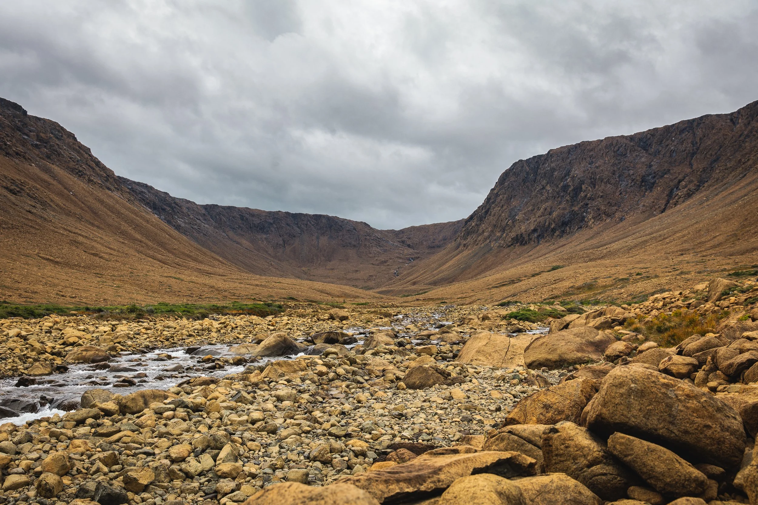 Newfoundland 001.jpg