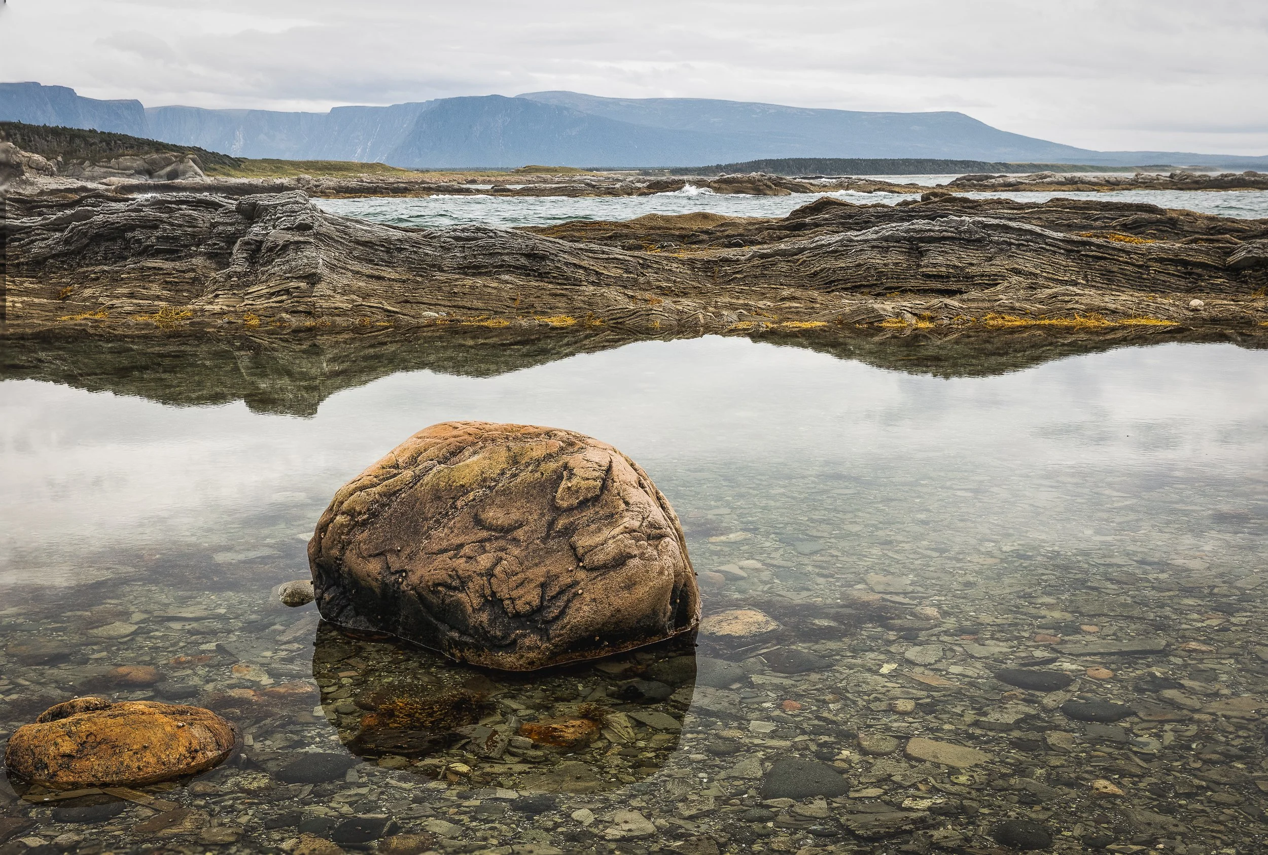 Newfoundland 004.jpg