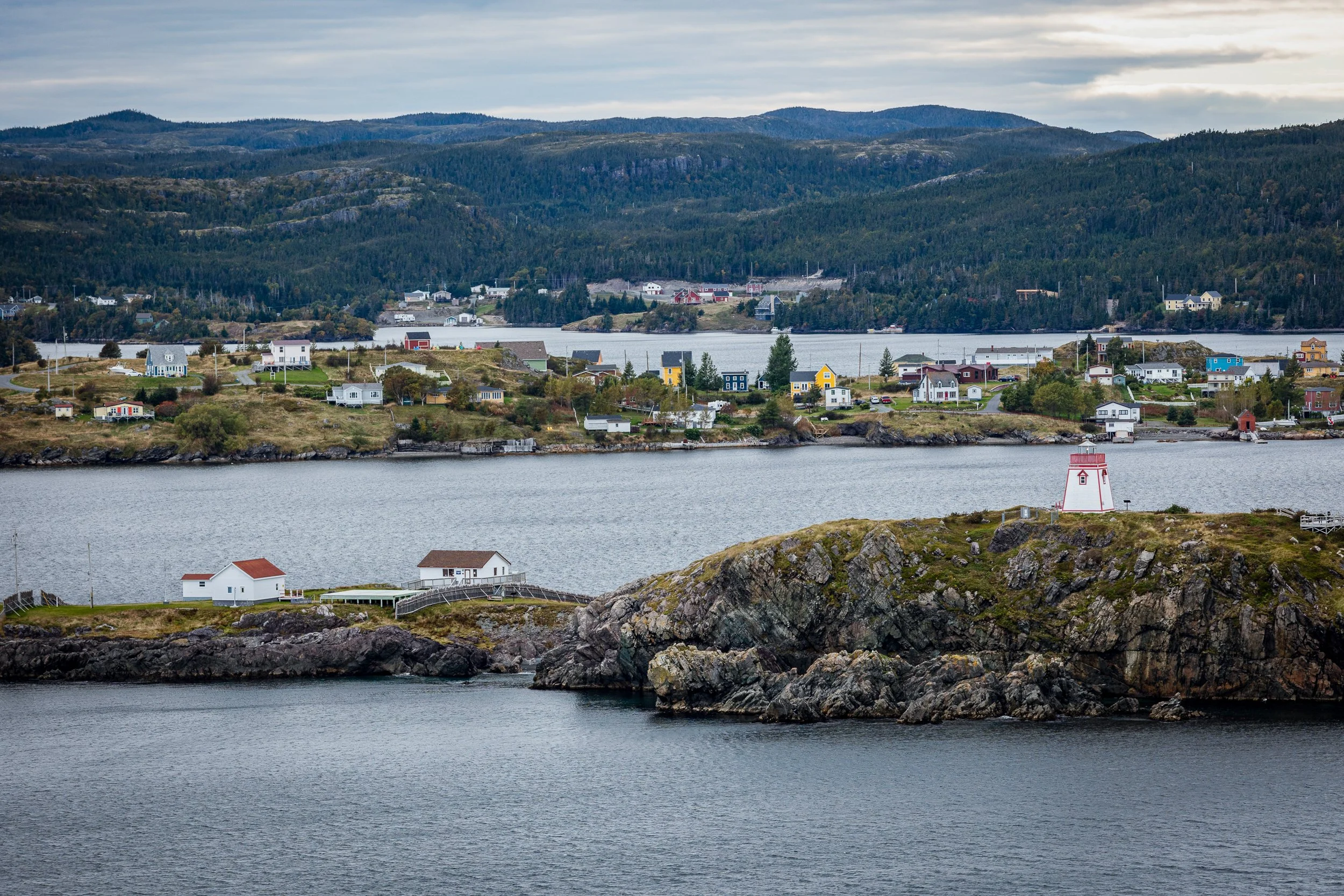 Newfoundland 016.jpg