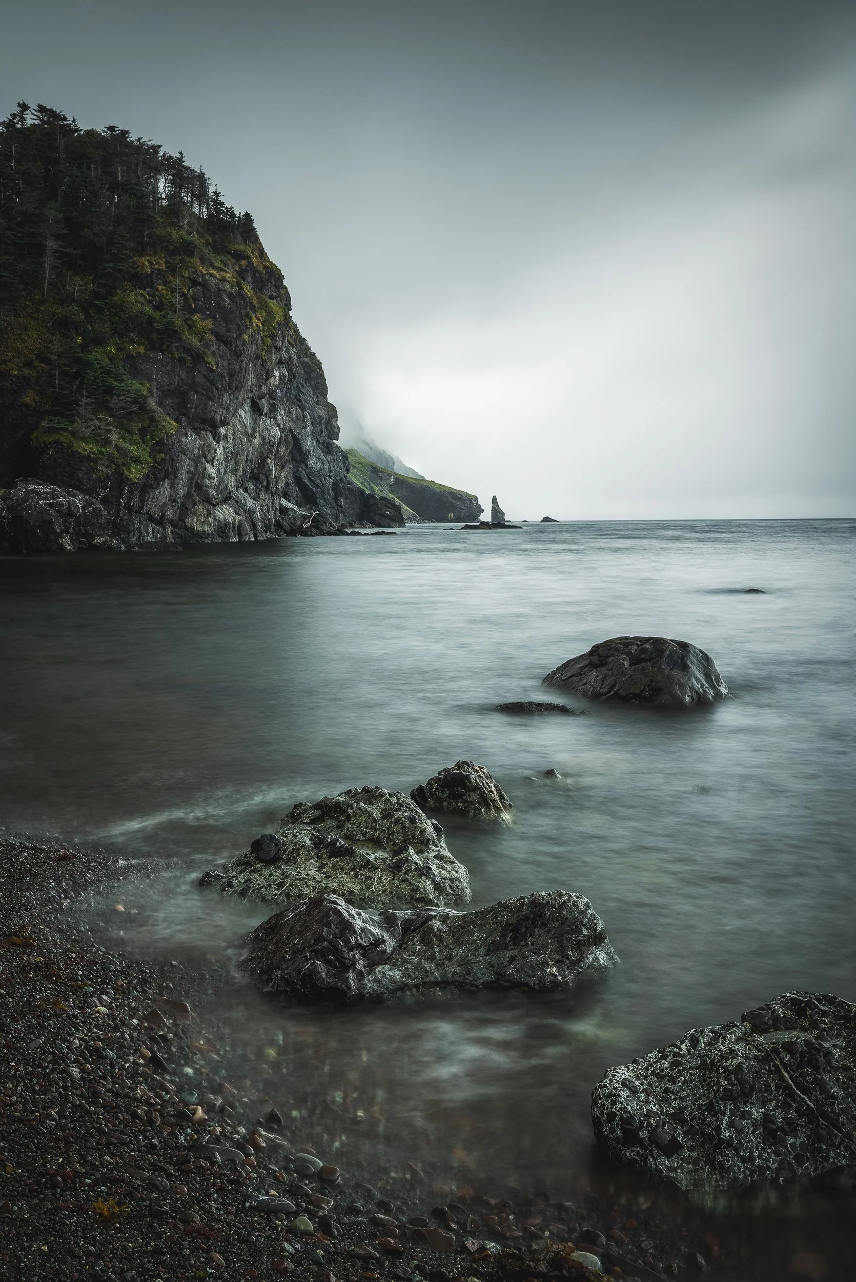 Newfoundland 007.jpg