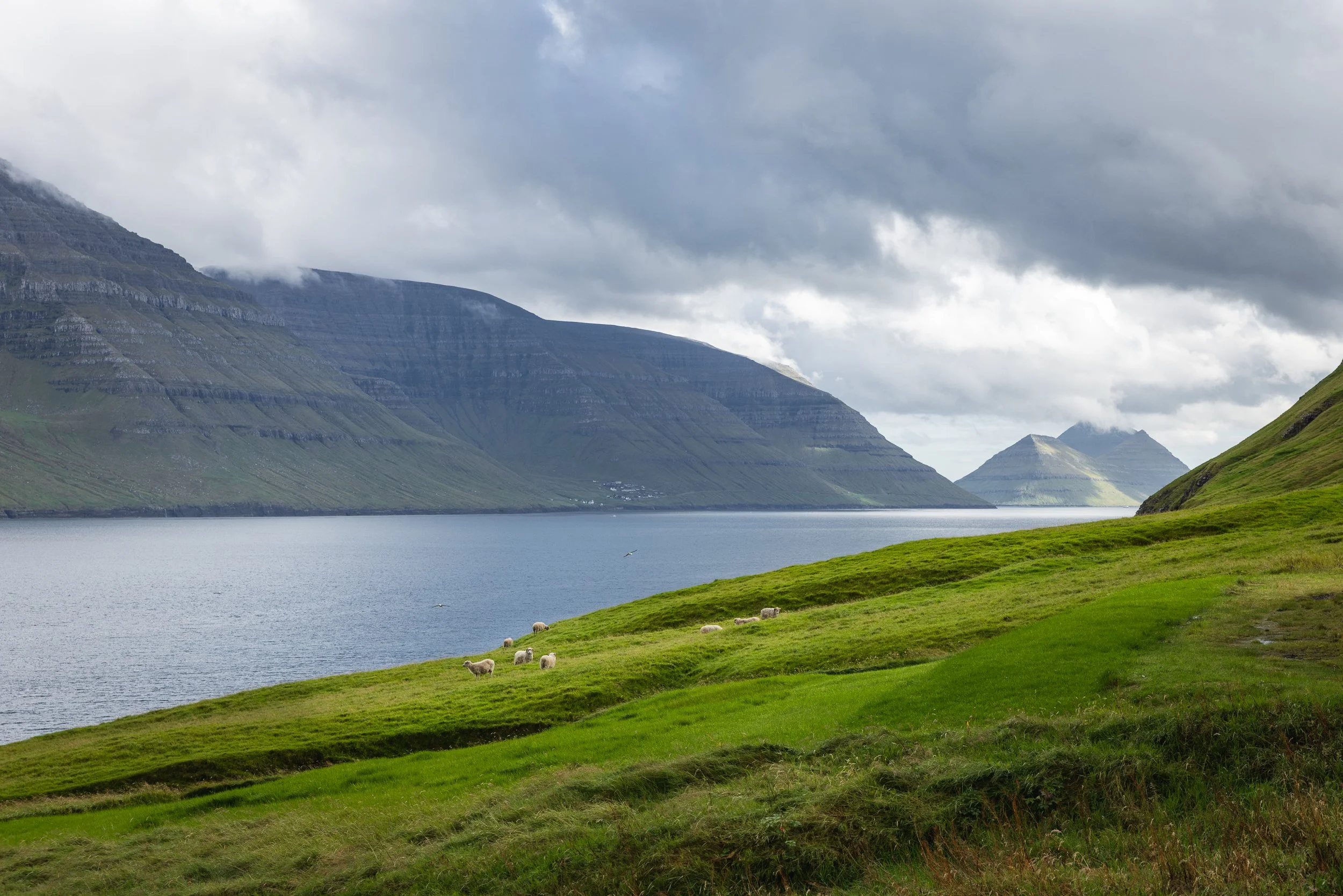 Faroe Islands 016.jpg