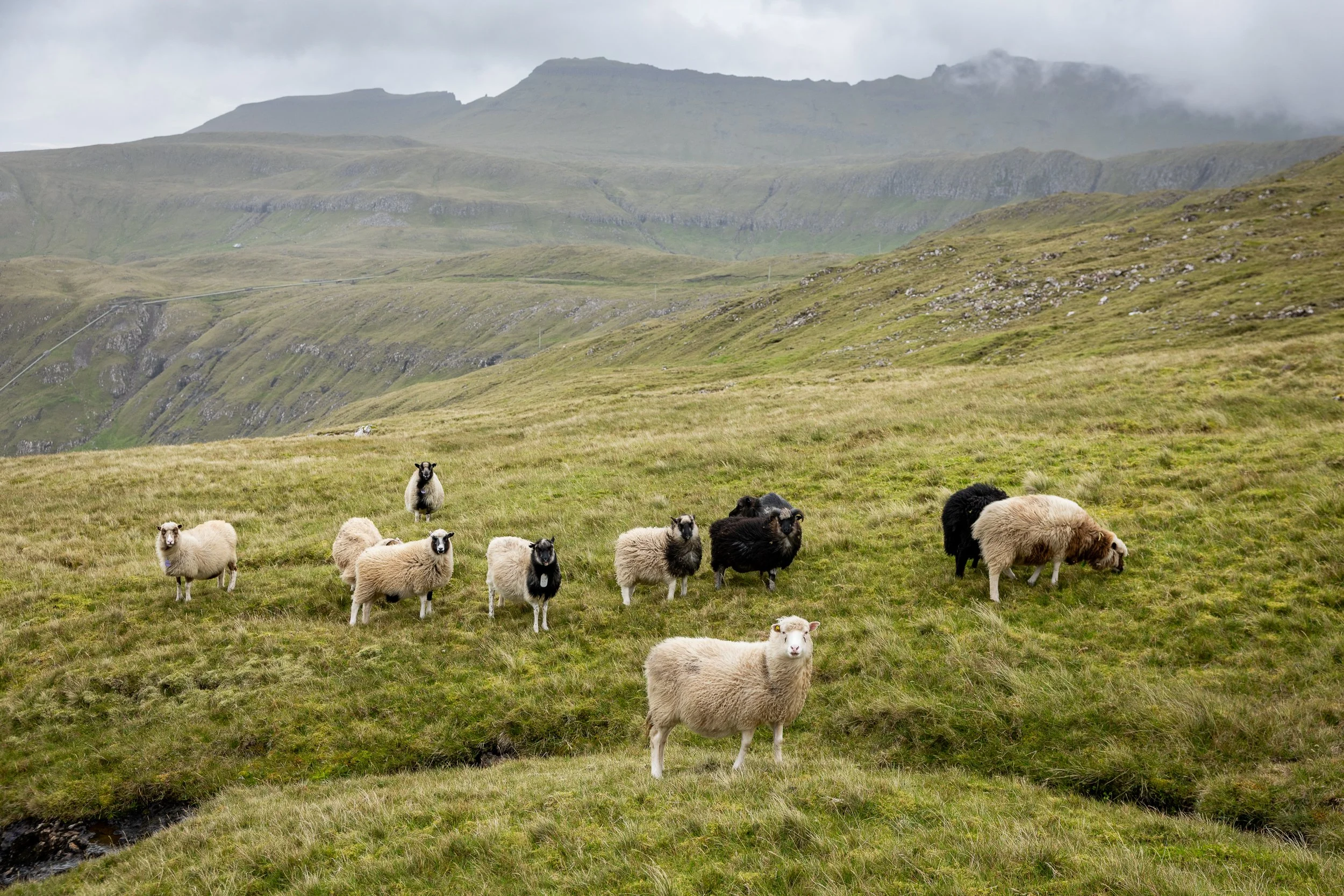 Faroe Islands 027.jpg