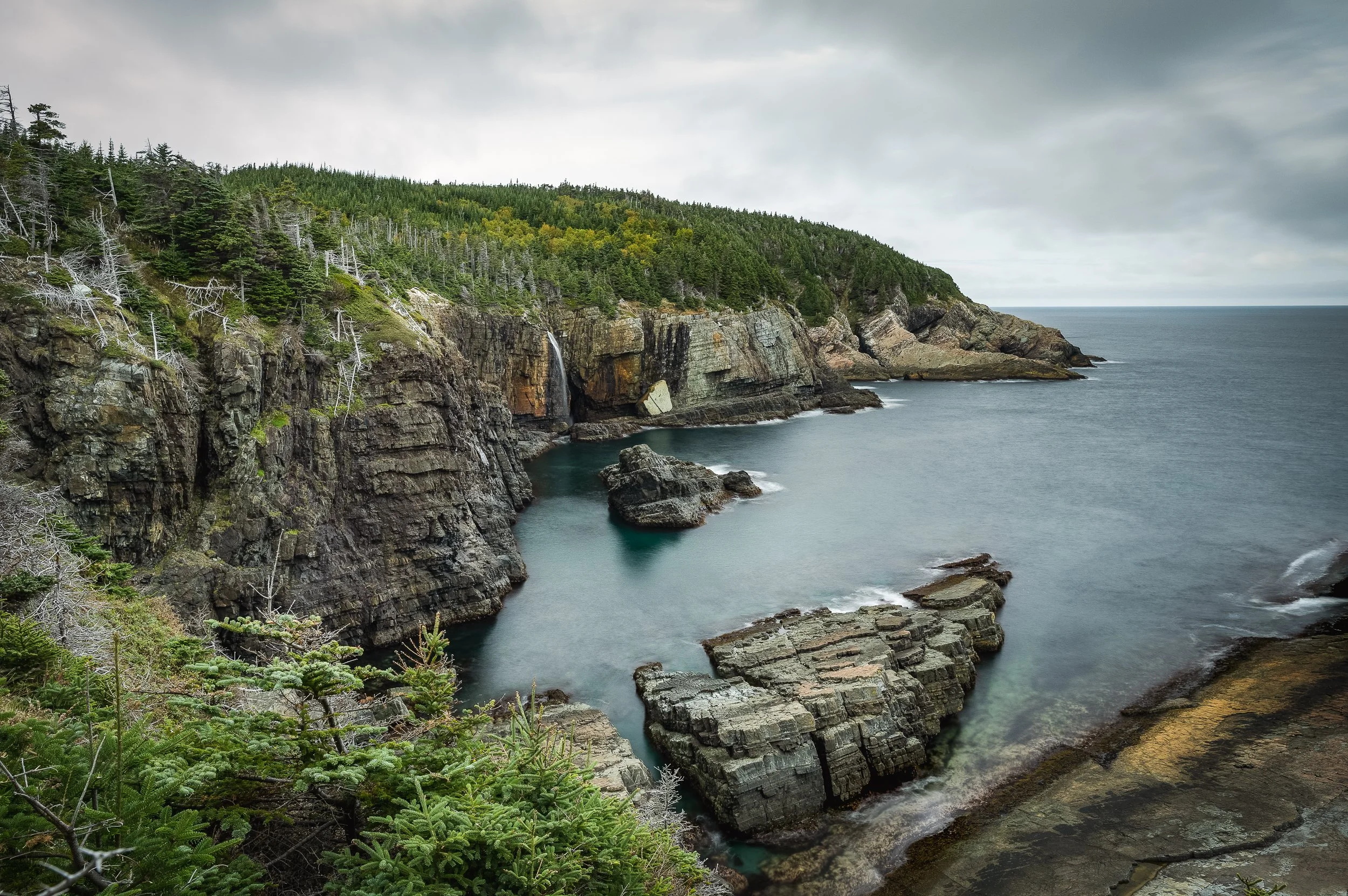 Newfoundland 025.jpg
