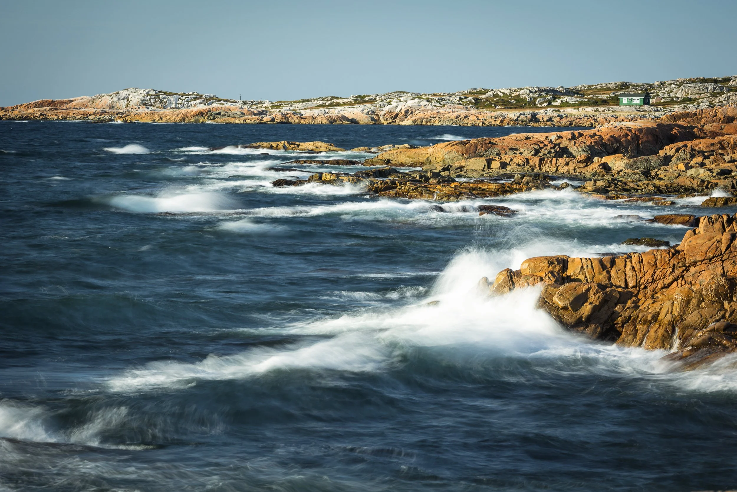 Newfoundland 009.jpg