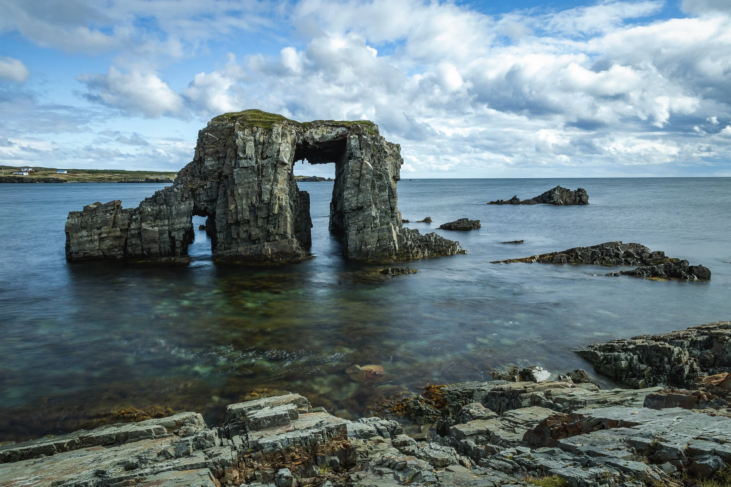 Newfoundland 013.jpg