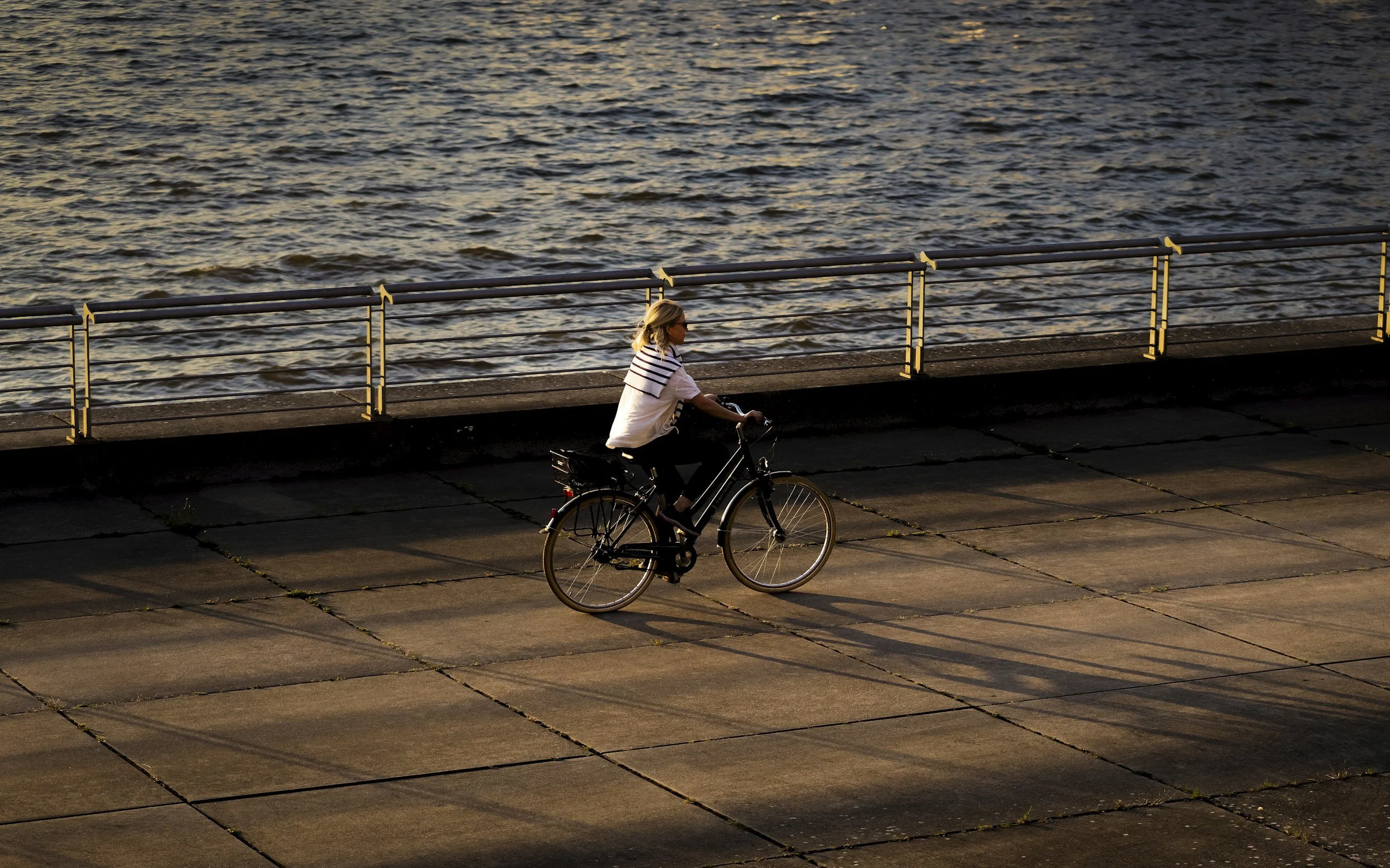 Bike Accidents in Orange County: Understanding Your Legal Options