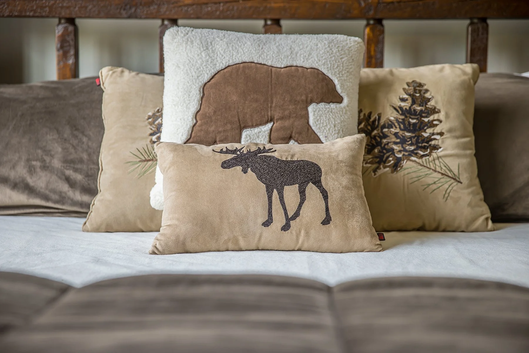 39 Upper Moose Hill-0332_DASH.jpg