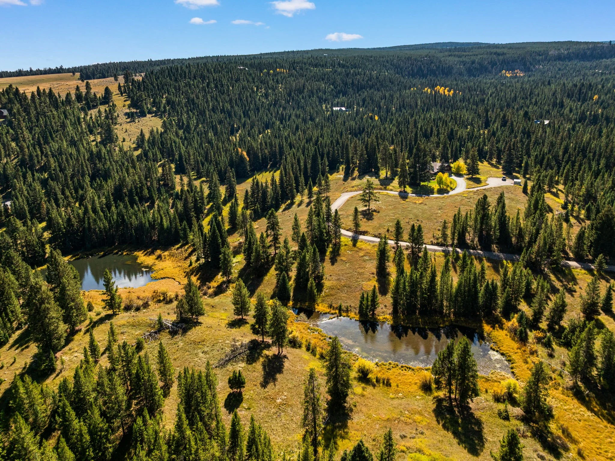 DJI_0711.jpg