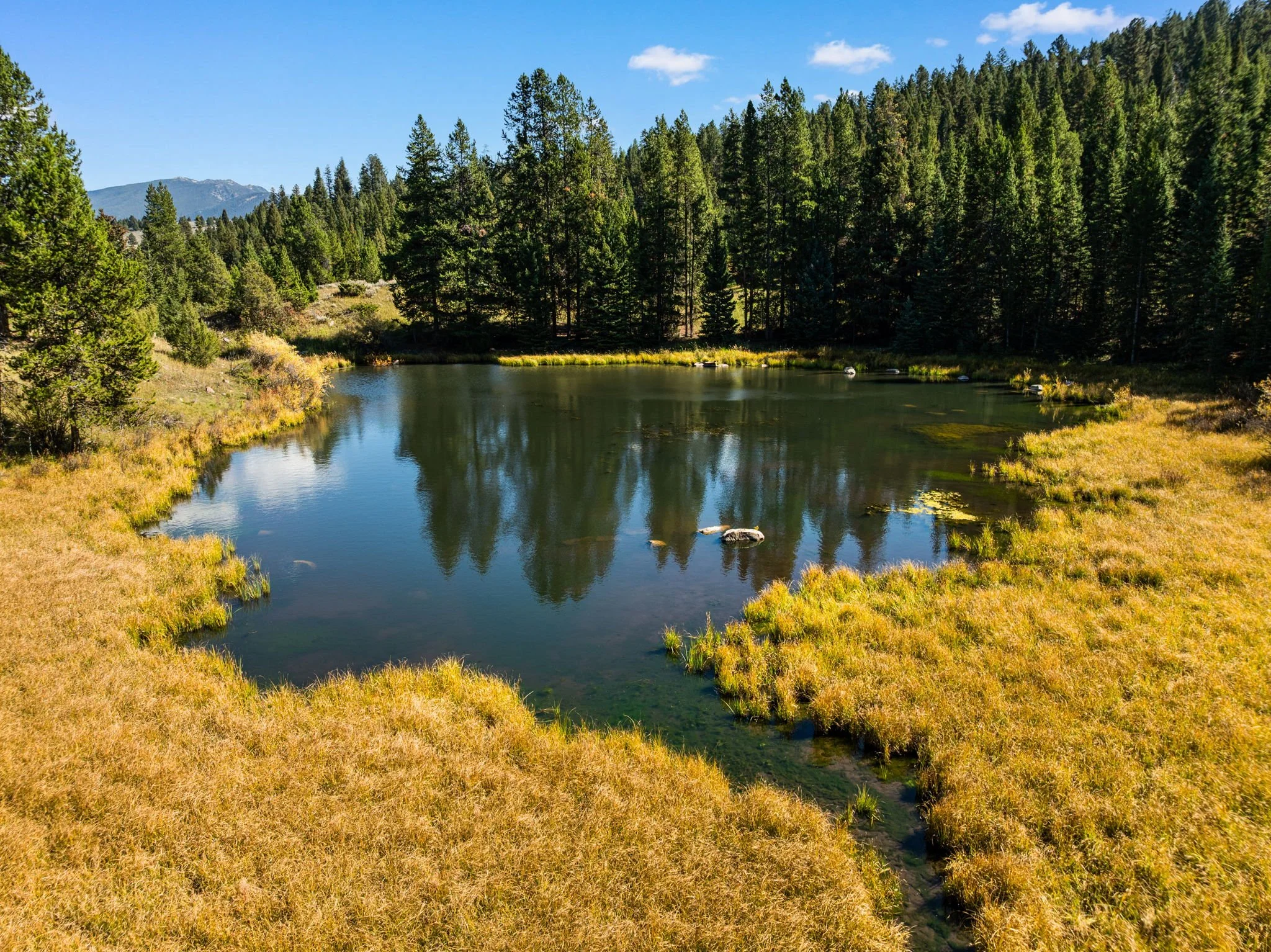 DJI_0709.jpg