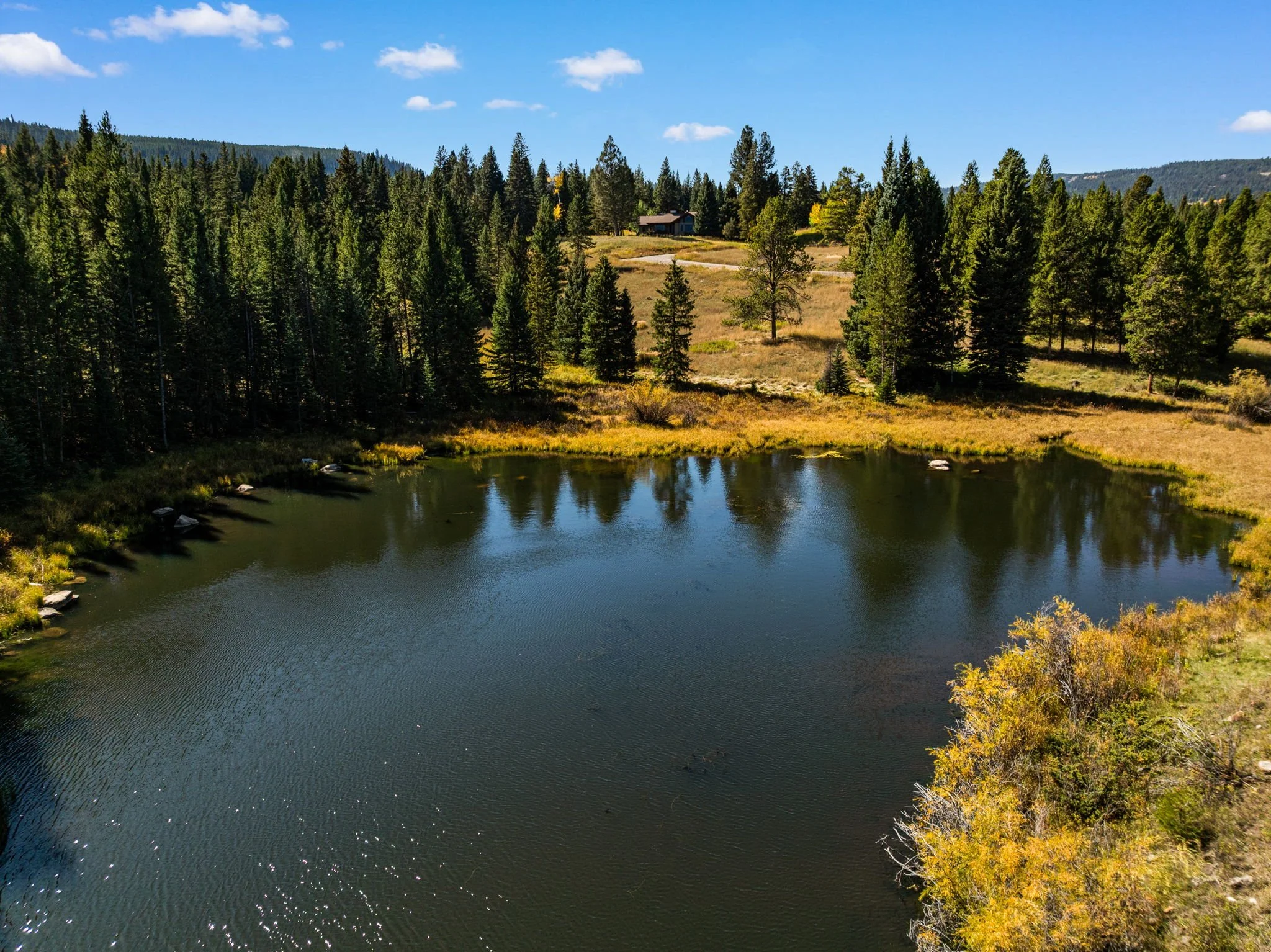 DJI_0675.jpg