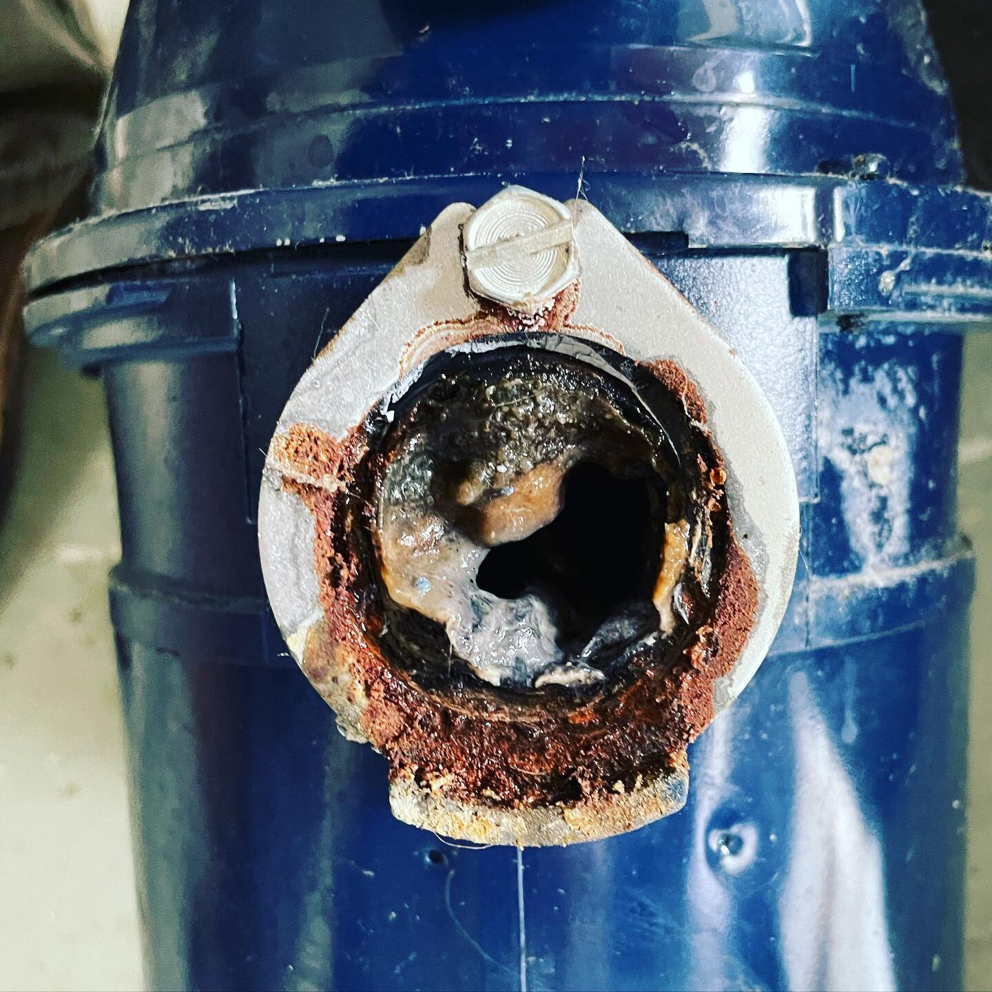 PSA: don&rsquo;t pour grease down your sink drains! This is the tail end of a garbage disposal we pulled out yesterday. Just like your arteries, grease can clog up your pipes, restricting the flow of water, causing clogs. 

Let your grease cool, scra