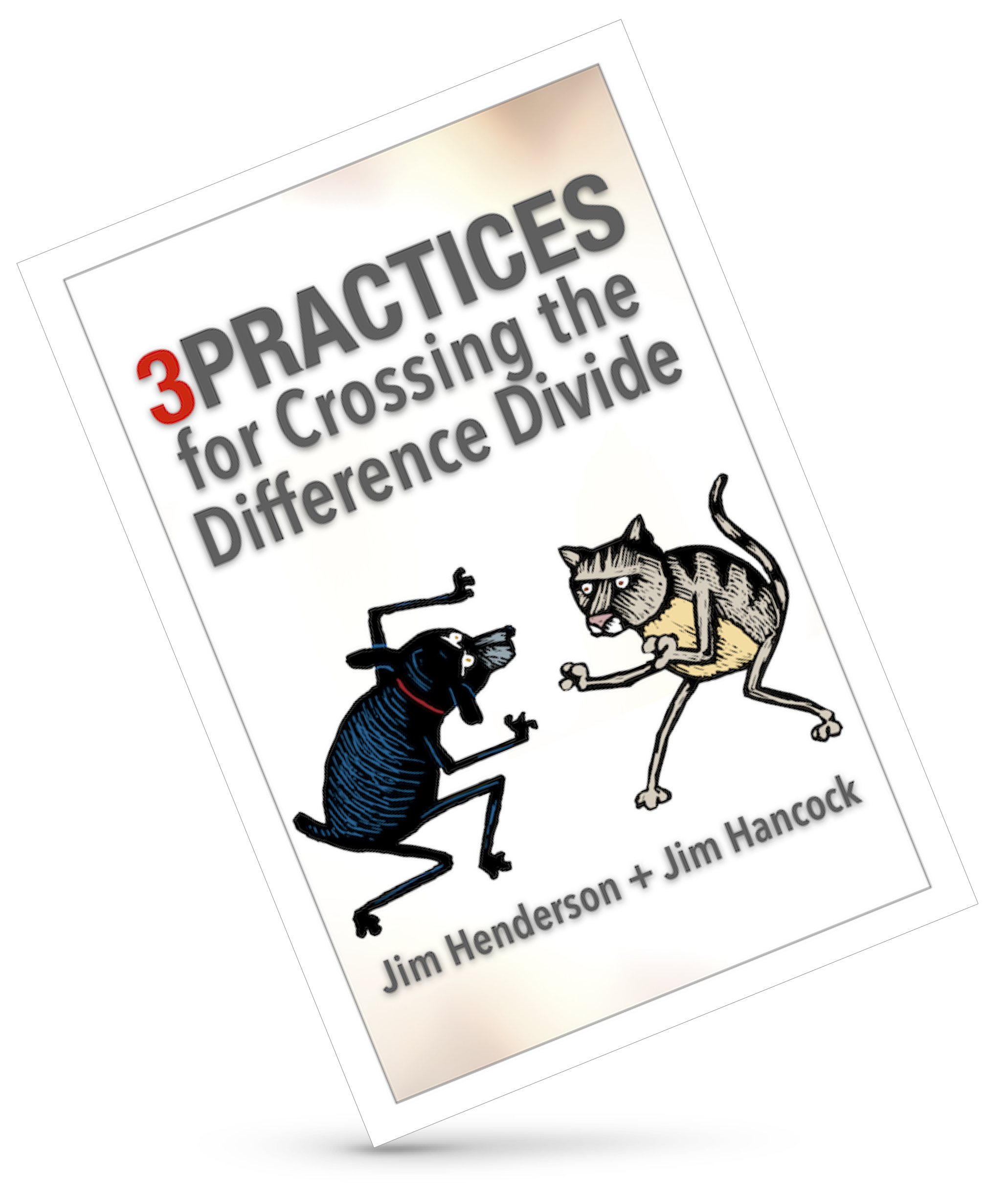 3Practices.com