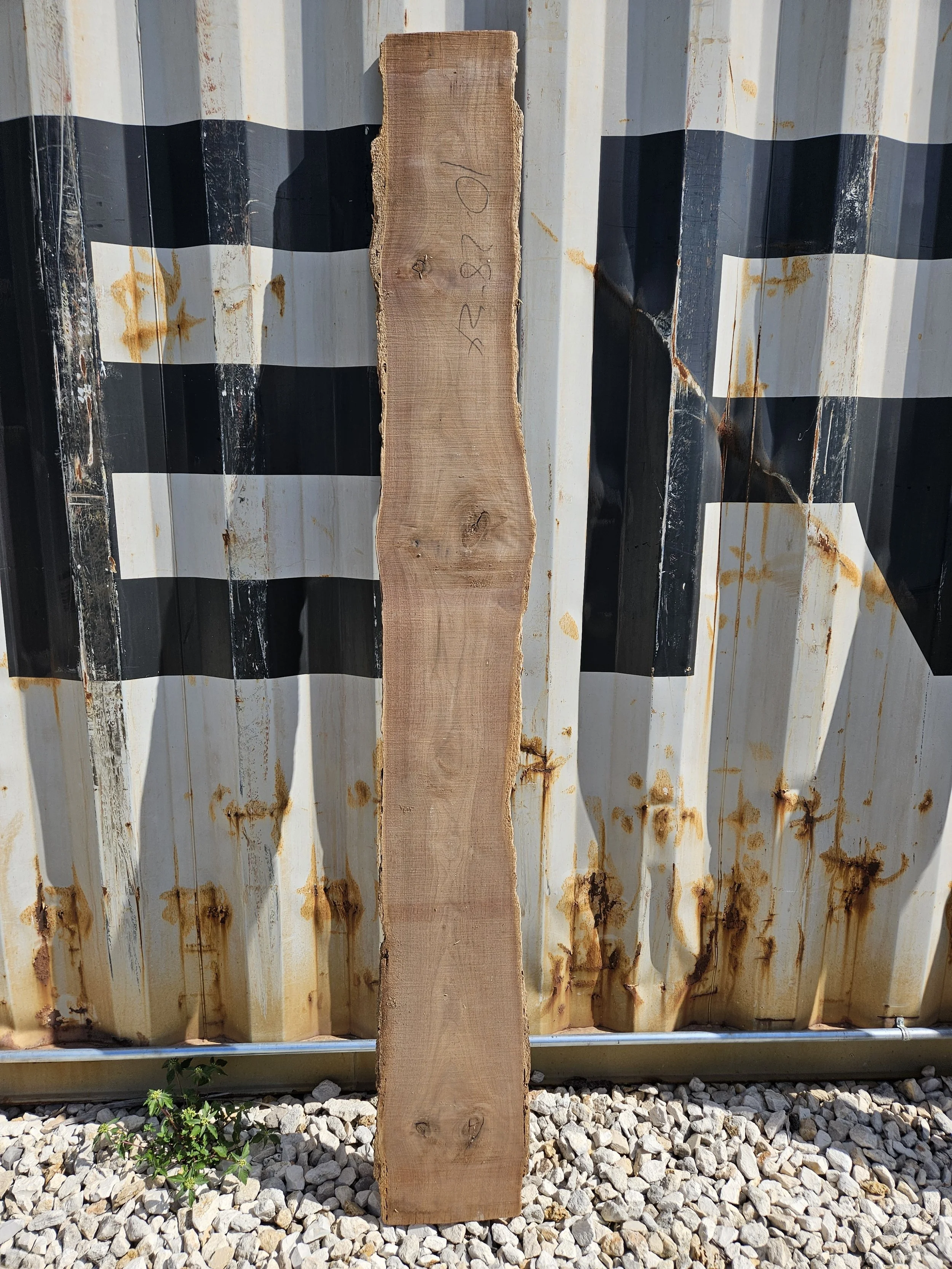 Walnut 6-7" W x 82" L x 1 3/8" T $50