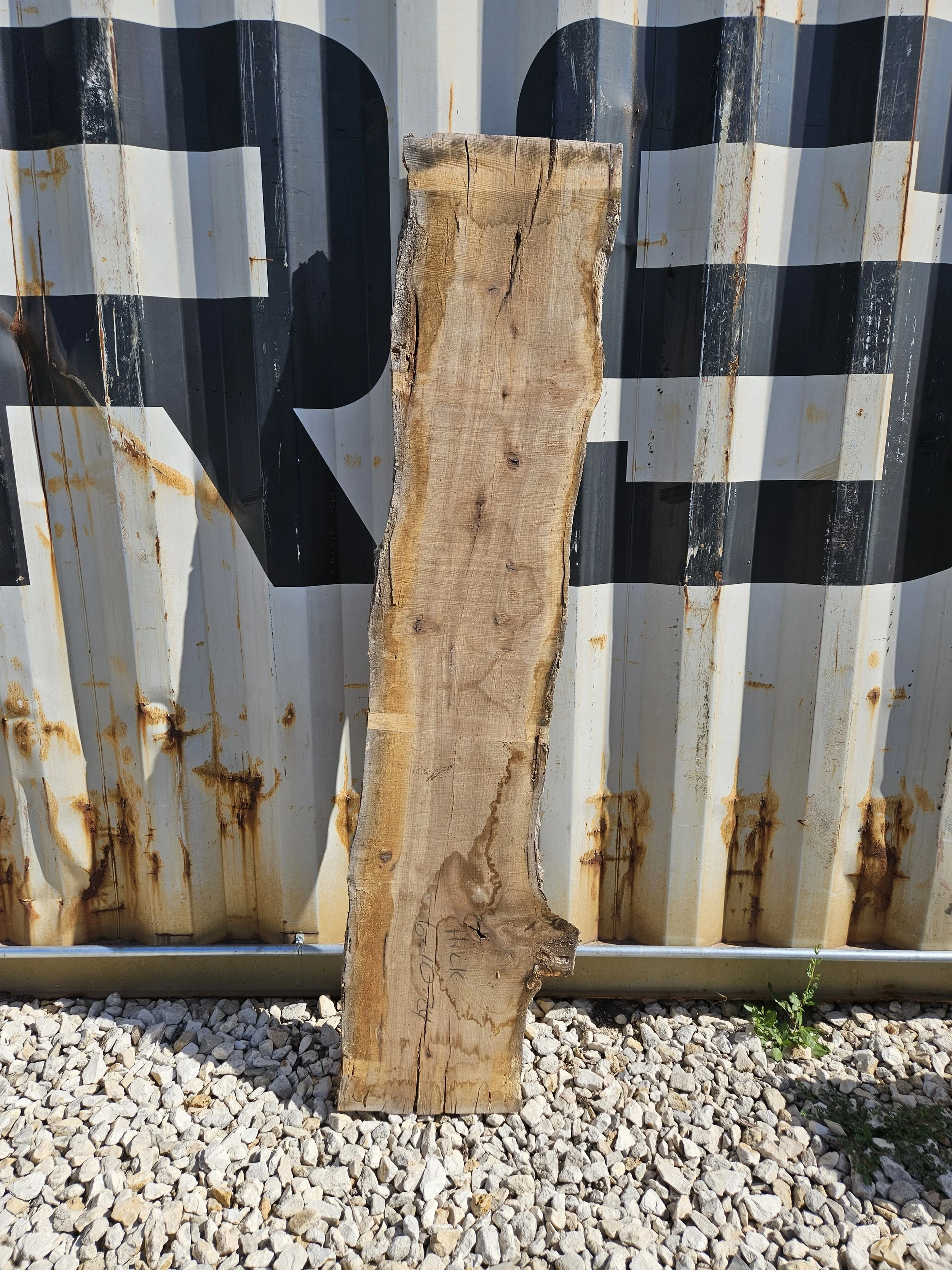 Hickory 7-11" W x 71" L x 1 1/2" T $55