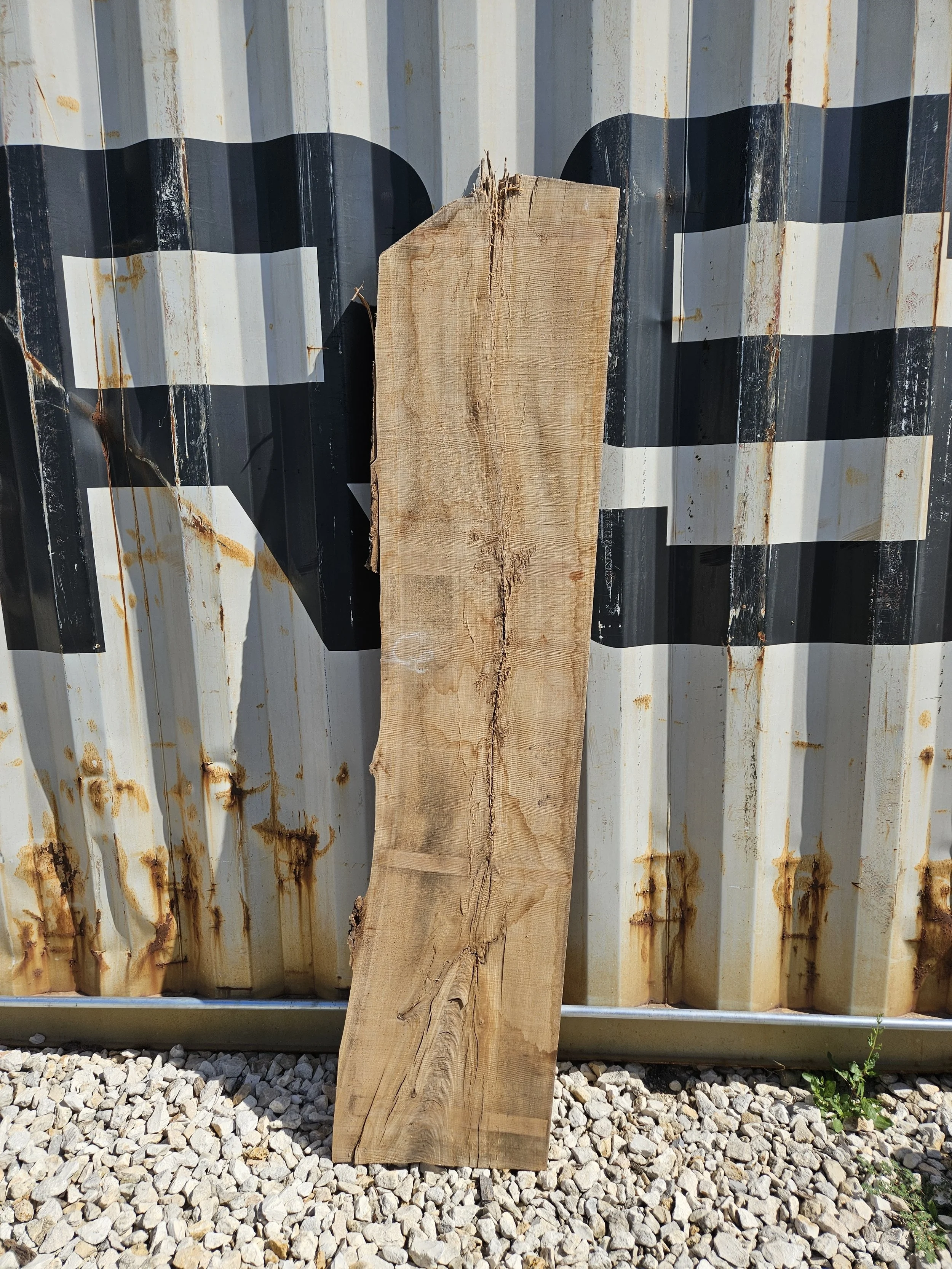 Cedar Elm 16-17" W x 70" L x 1 3/8" T $70