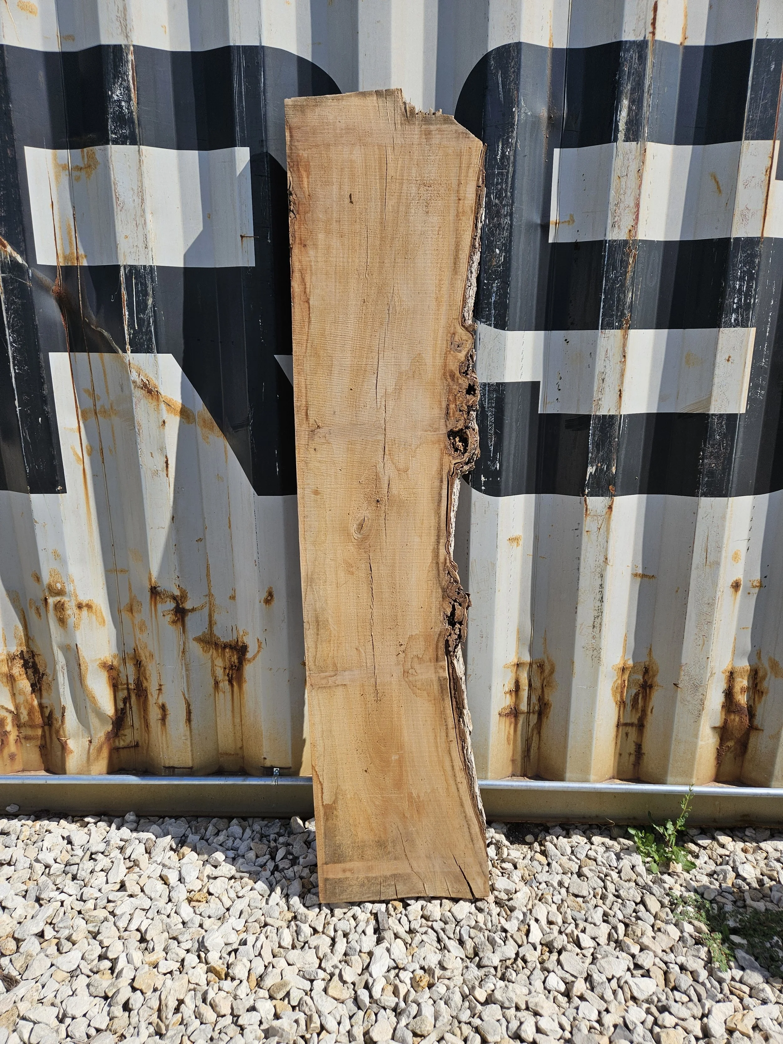 Cedar Elm 16" W x 70" L x 1 3/8" T $70