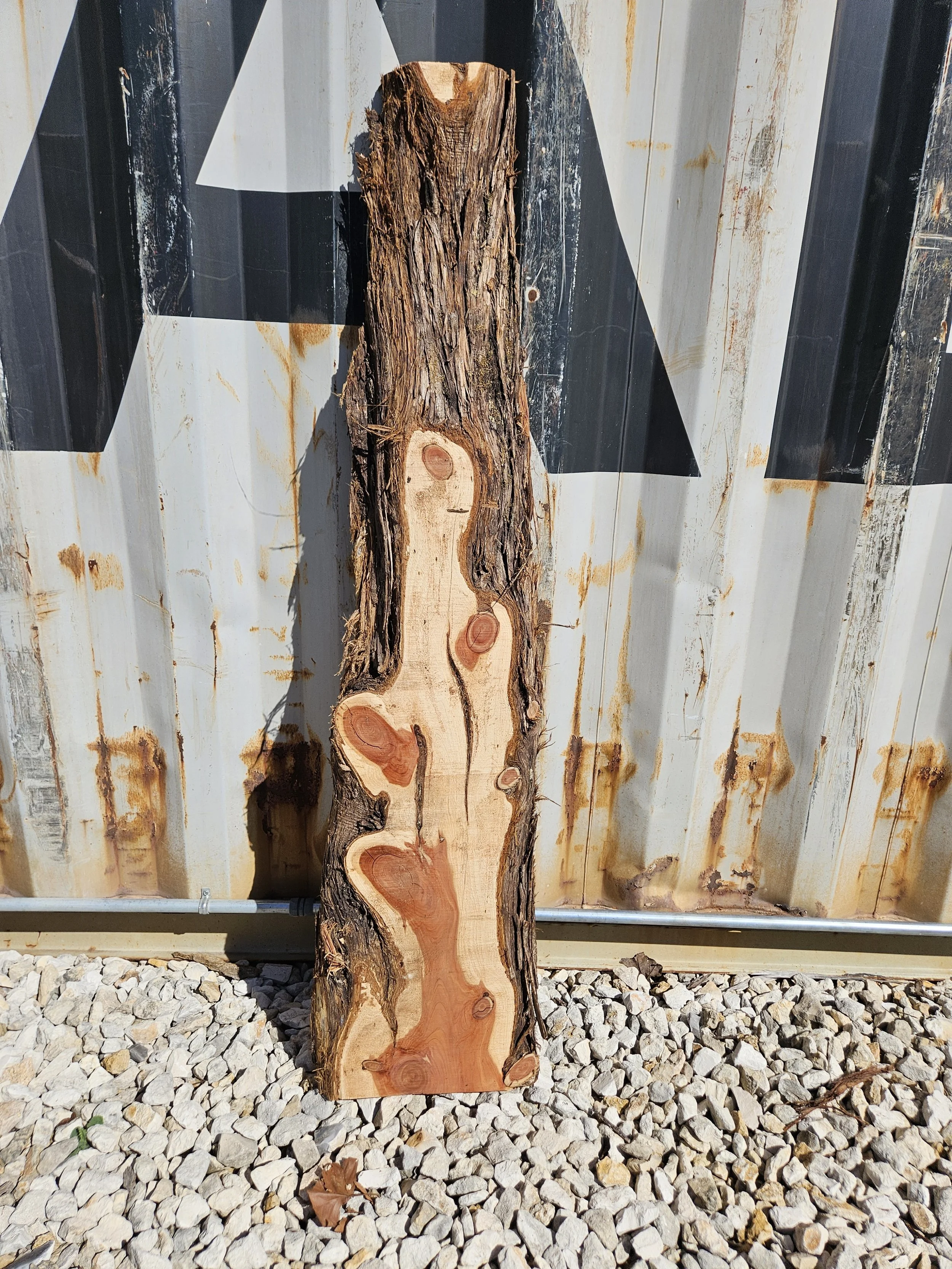 Cedar	7-13" W x 59" L x 2 3/8" T 	$60