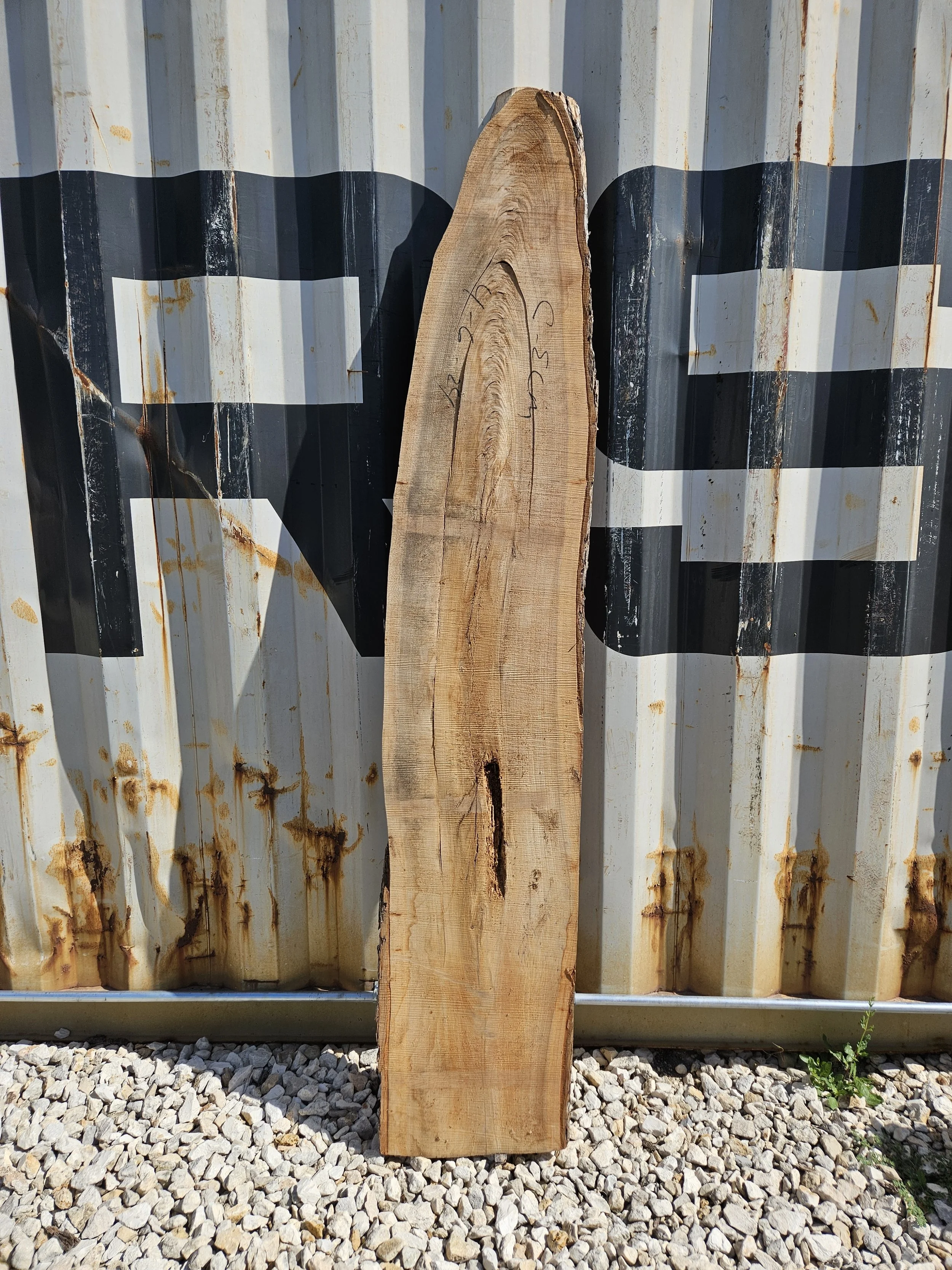 Cedar Elm 11-13" W x 83" L x 1 3/8" T $60