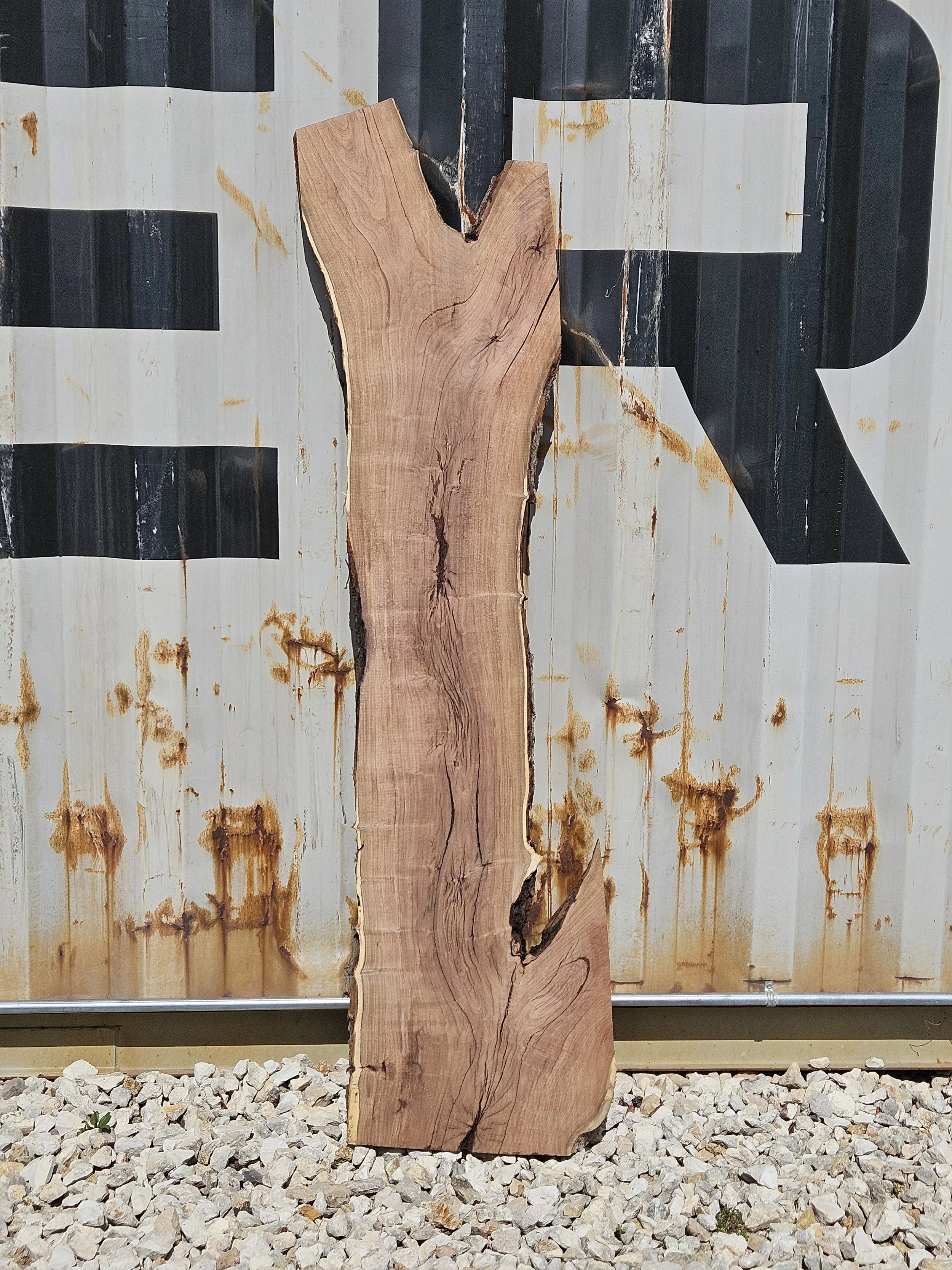 Mesquite	11-17" W x 65" L x 1 1/2" T	$145