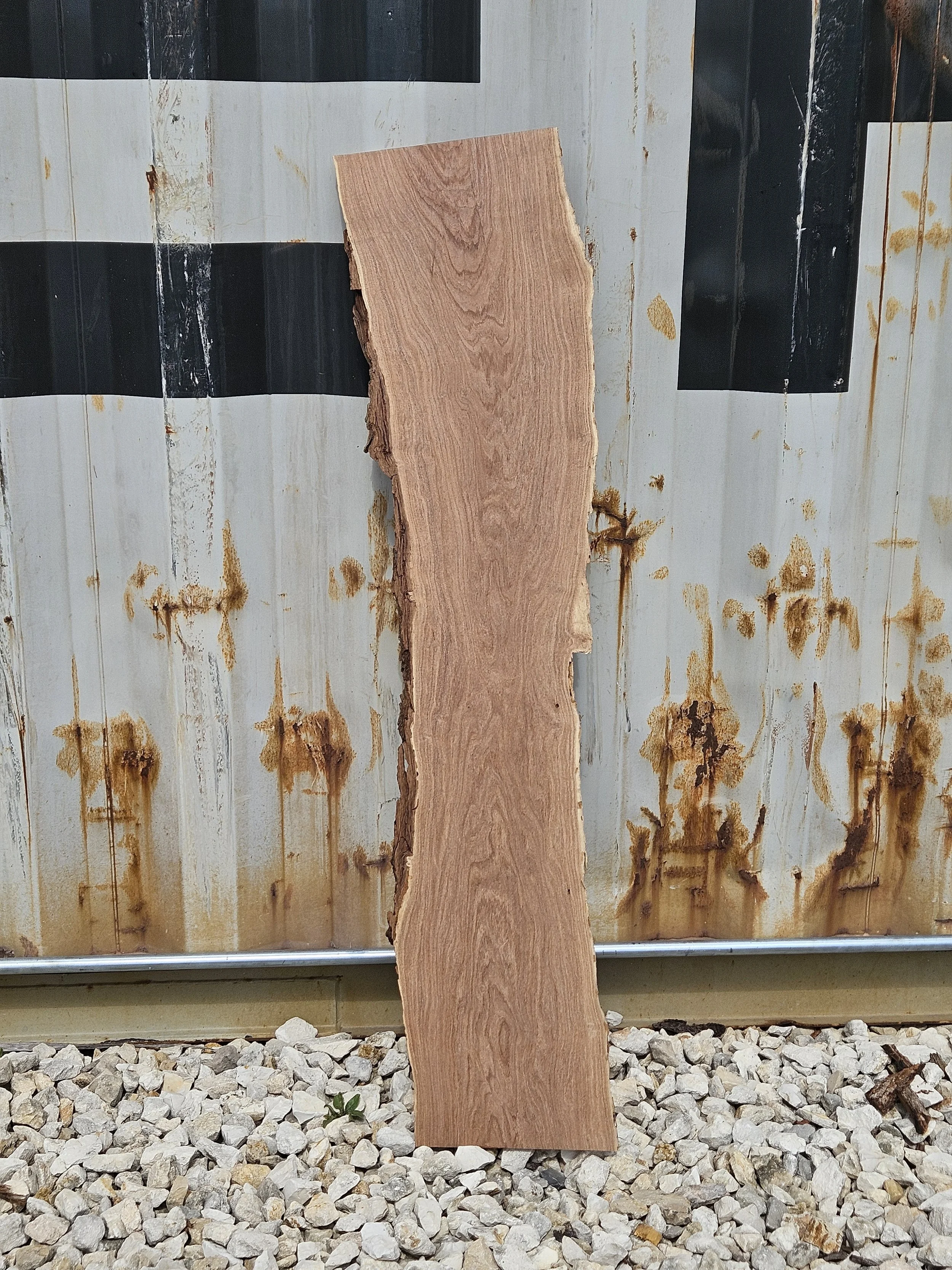 Mesquite	10-11" W x 51" L x 7/8" T	$50