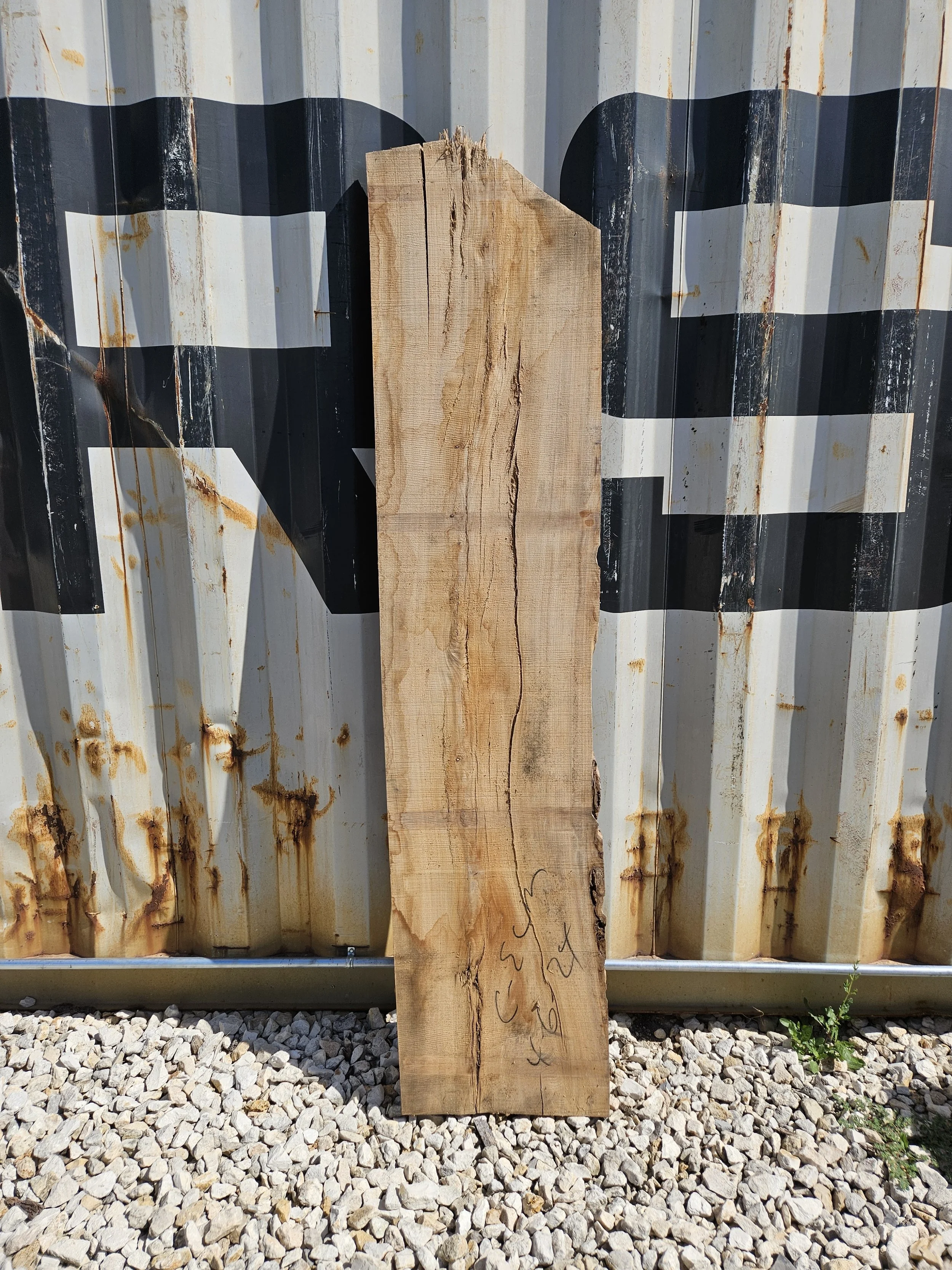 Cedar Elm 16-17" W x 68" L x 1 3/8" T $70