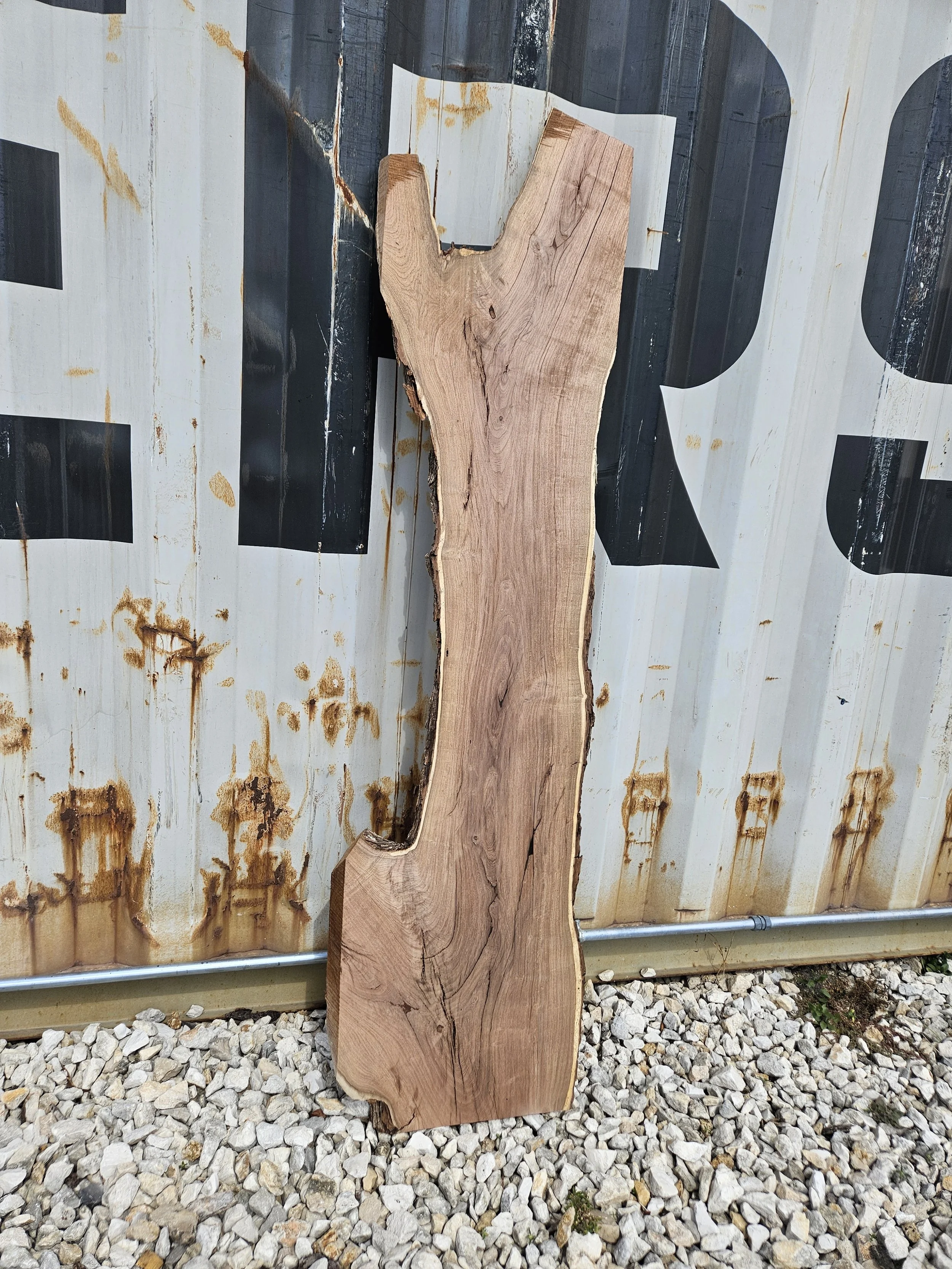 Mesquite	10-17" W x 64" L x 2 3/8" T	$220