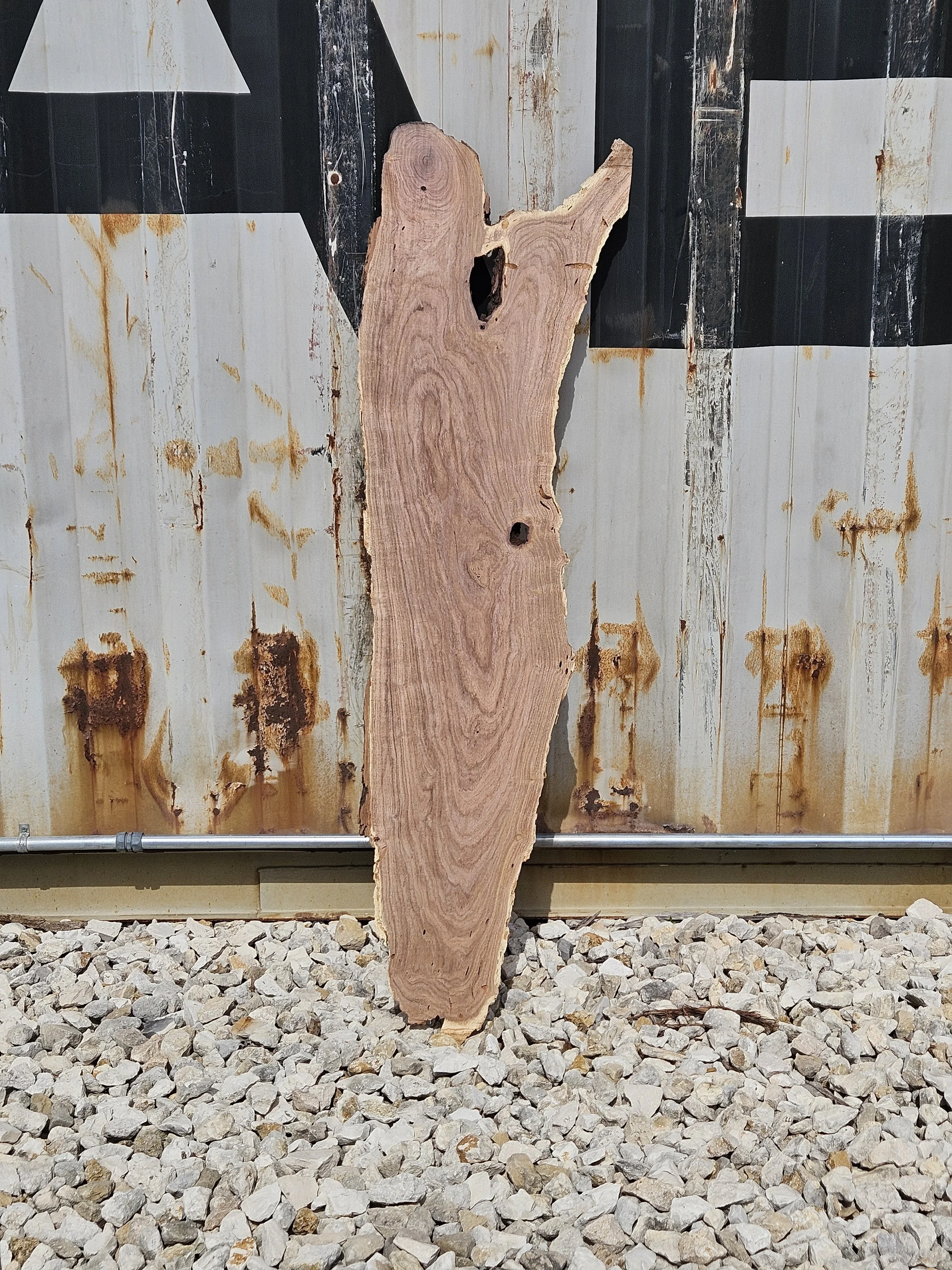 Mesquite	10-12" W x 52" L X 1" T	$60