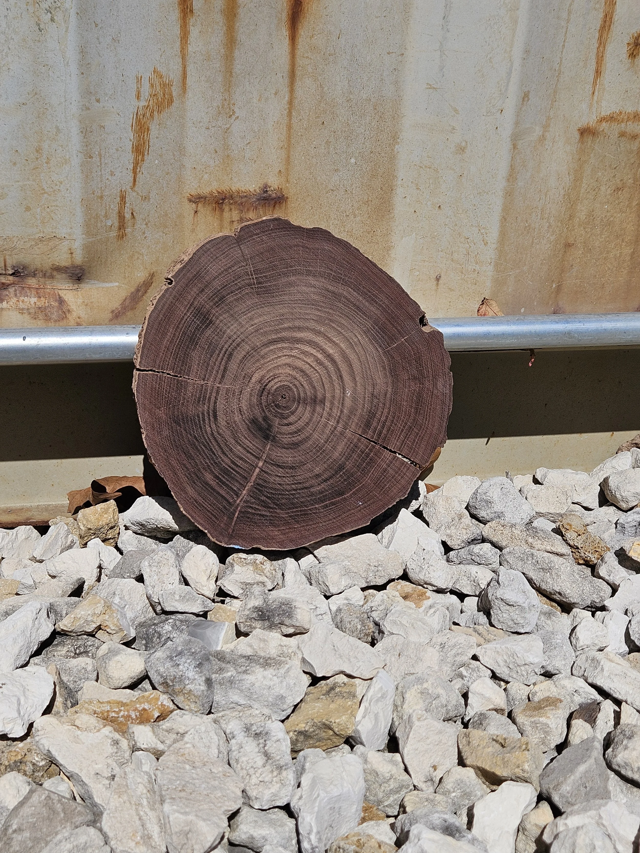 Walnut	8" W x 1 3/8" T	$5