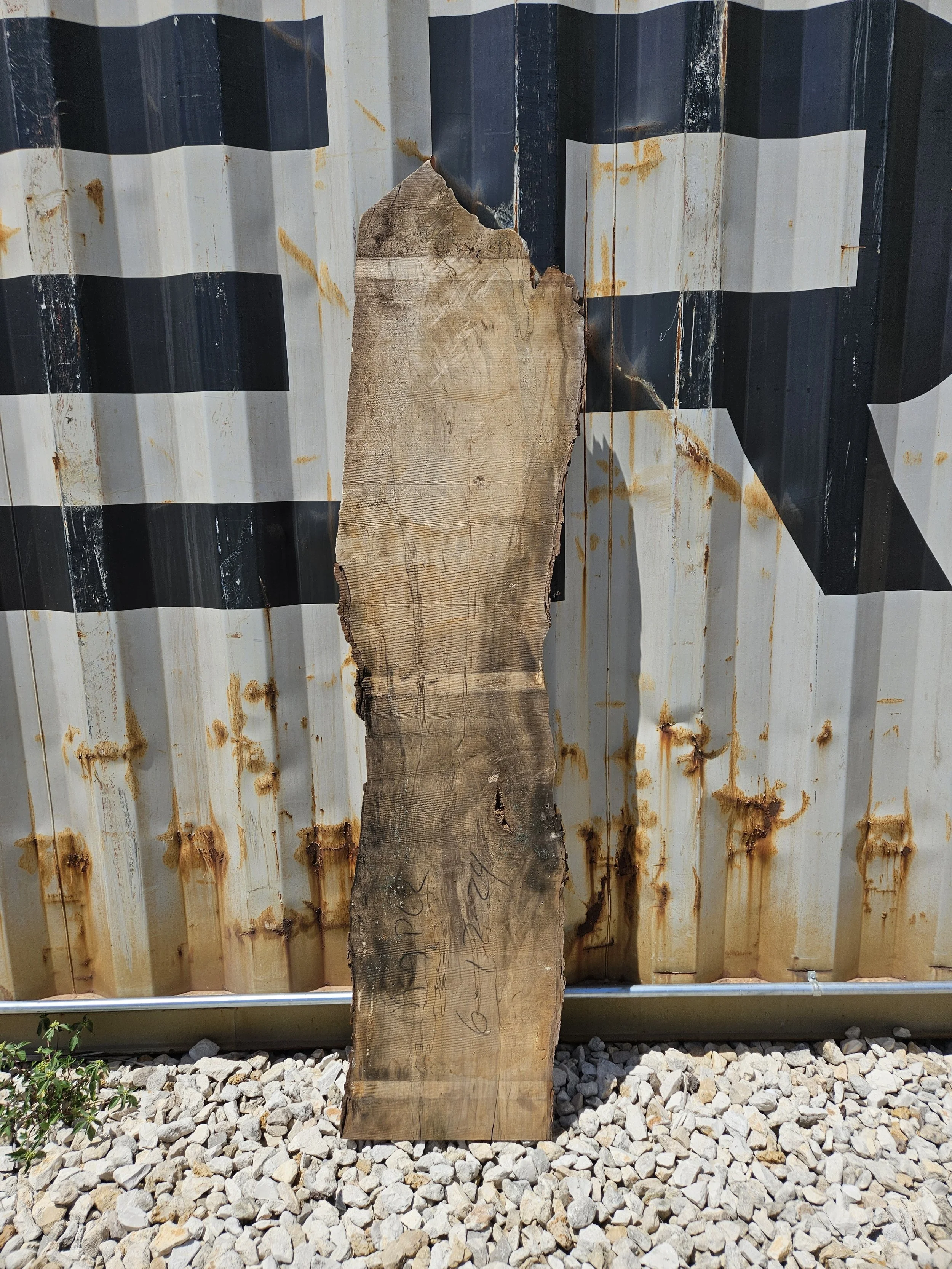 Maple 8-12" W x 65" L x 1 3/8" T $60