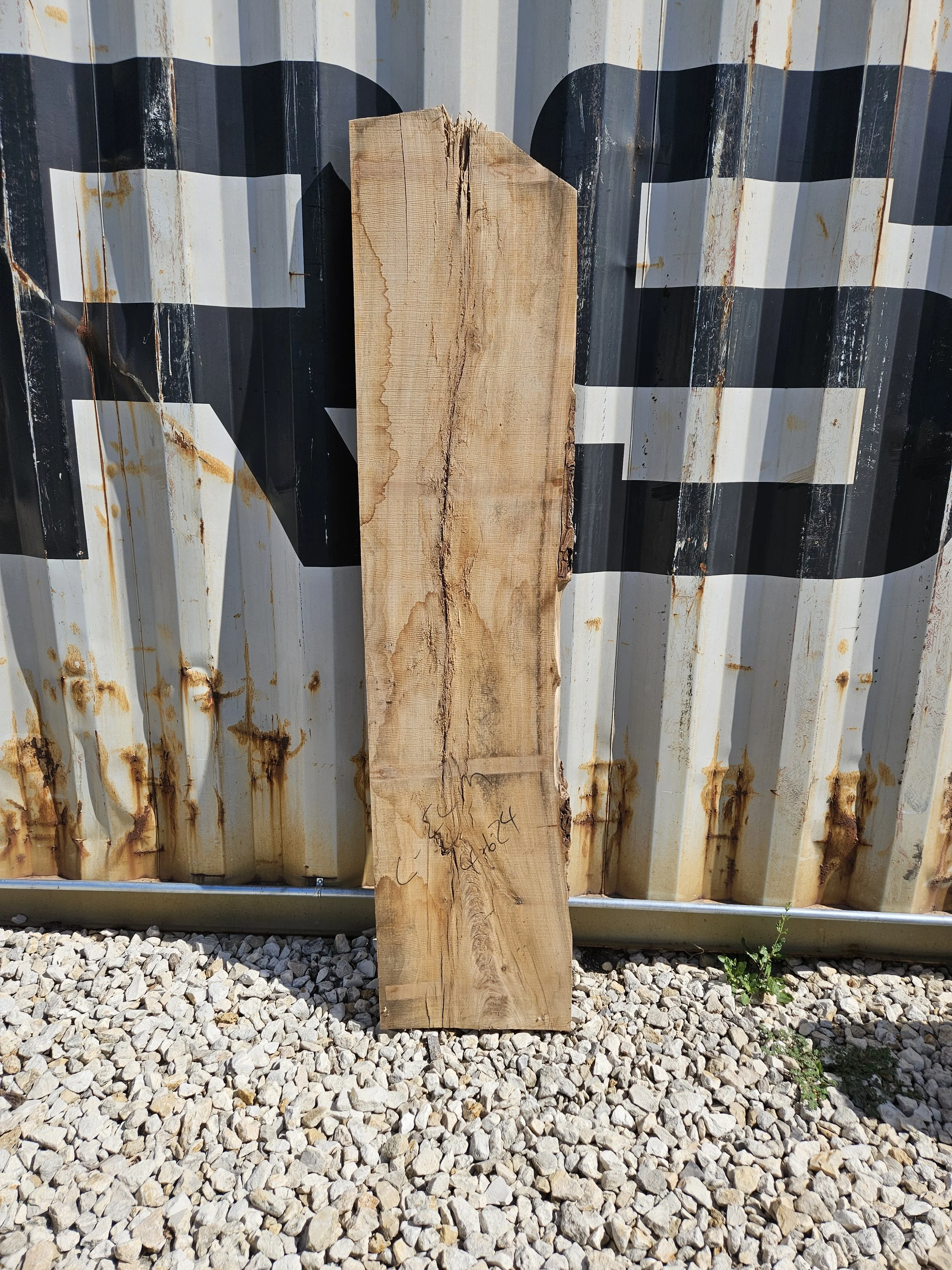 Cedar Elm 16-17" W x 69" L x 1 3/8" T $70