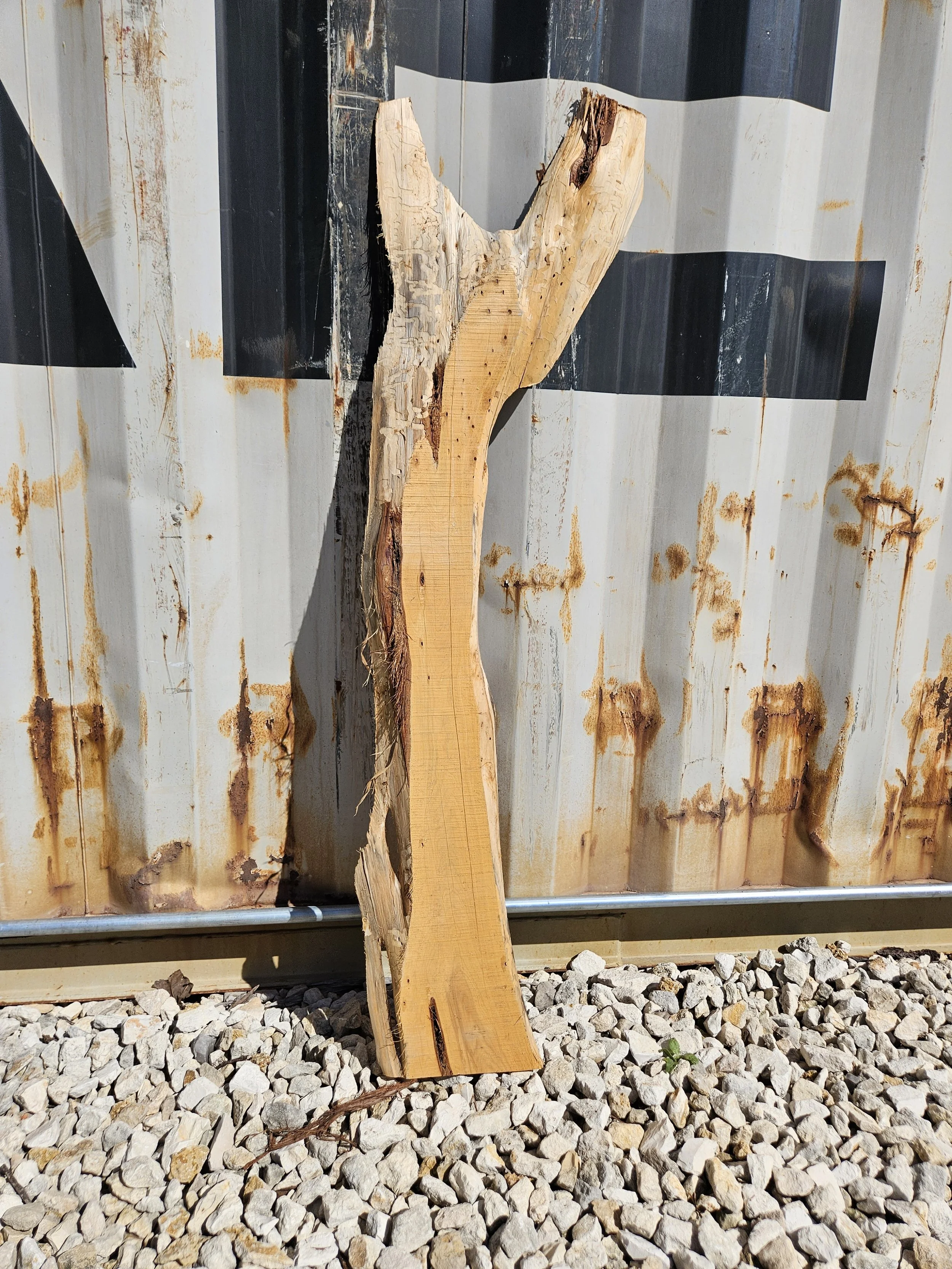 Cedar	6-10" W x 45" L x 1 1/8" T  	$15