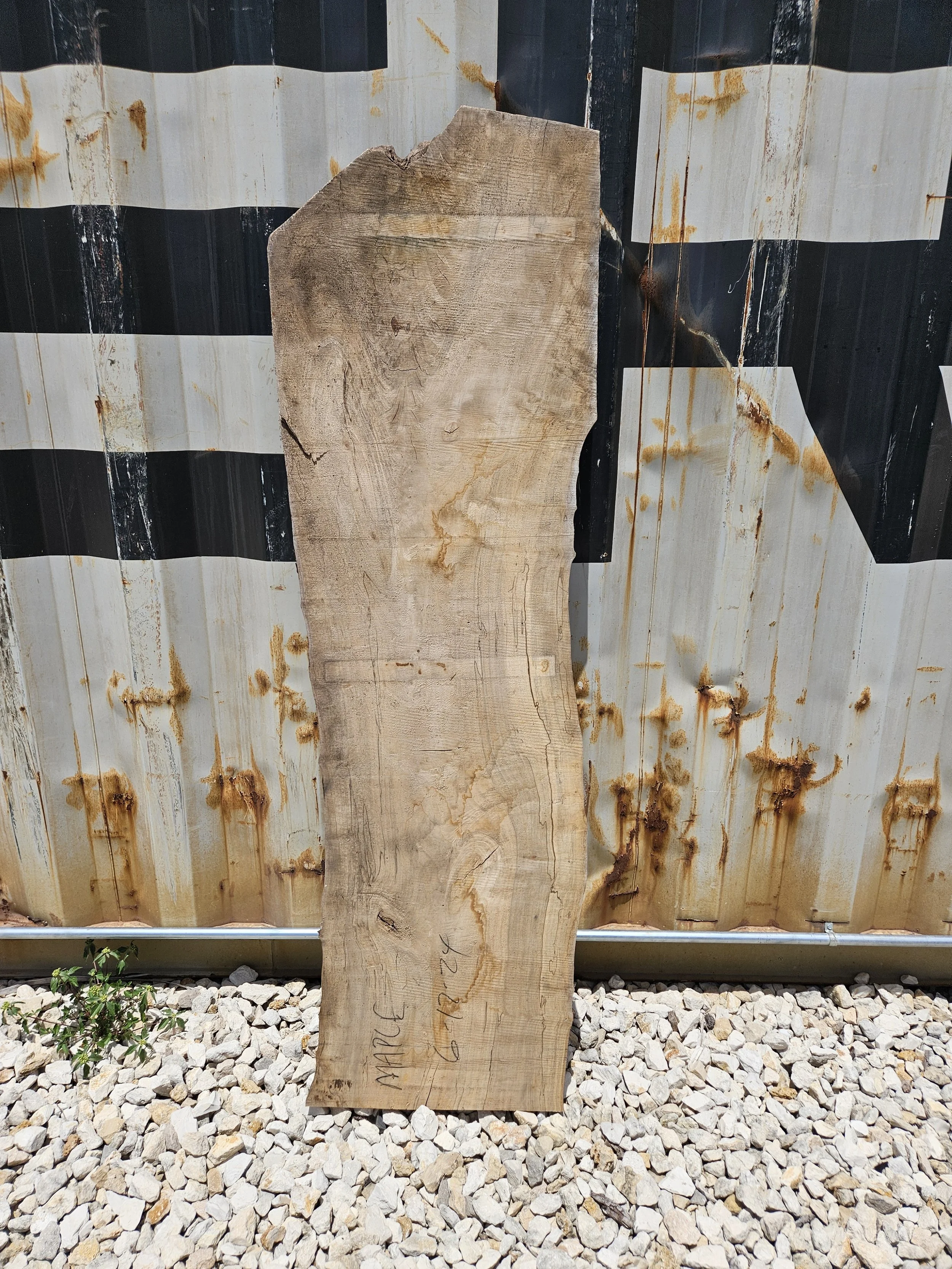 Maple 17-19" W x 66" L x 1 3/8" T $95