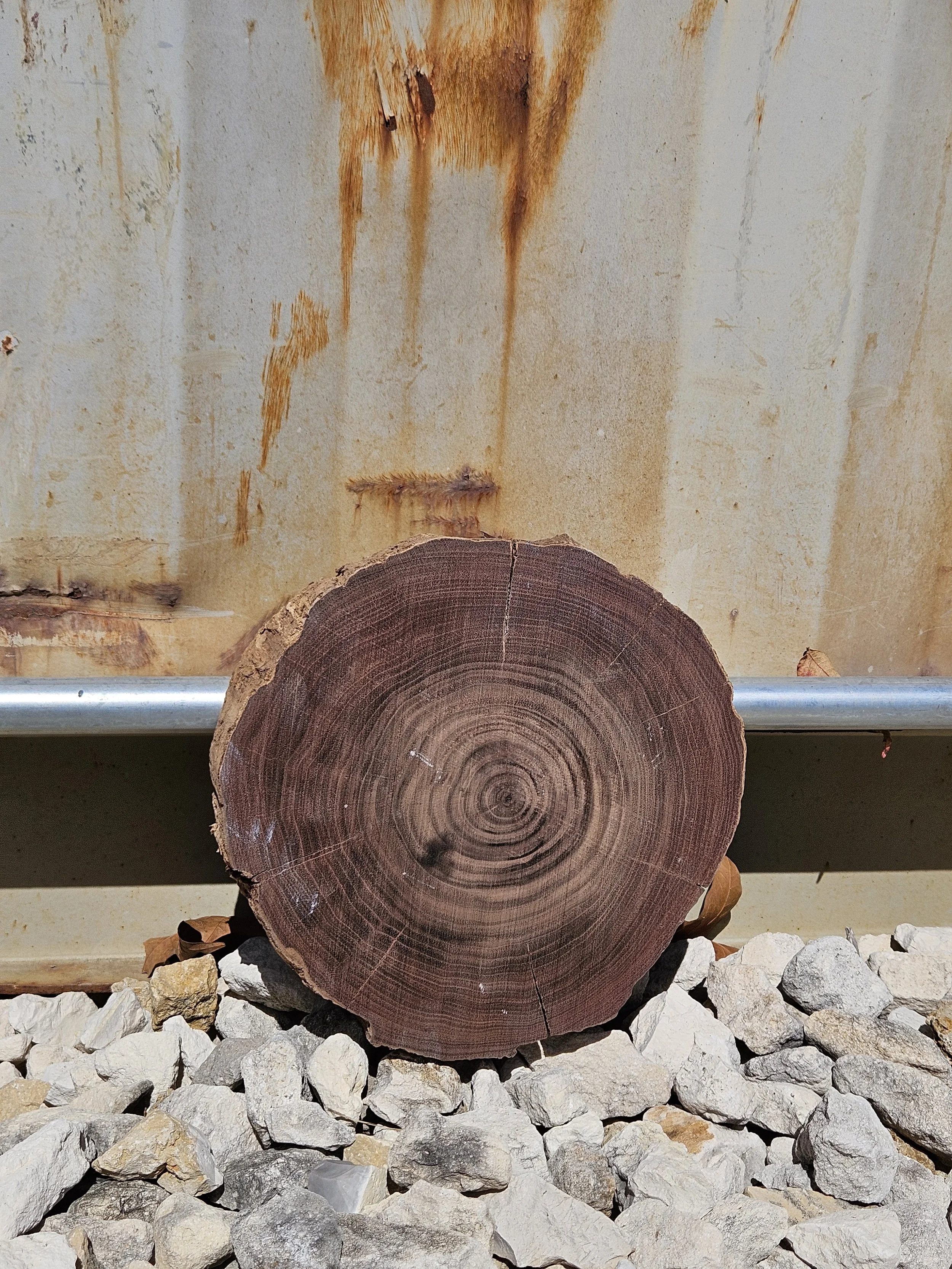 Walnut	8" W x 2" T	$10
