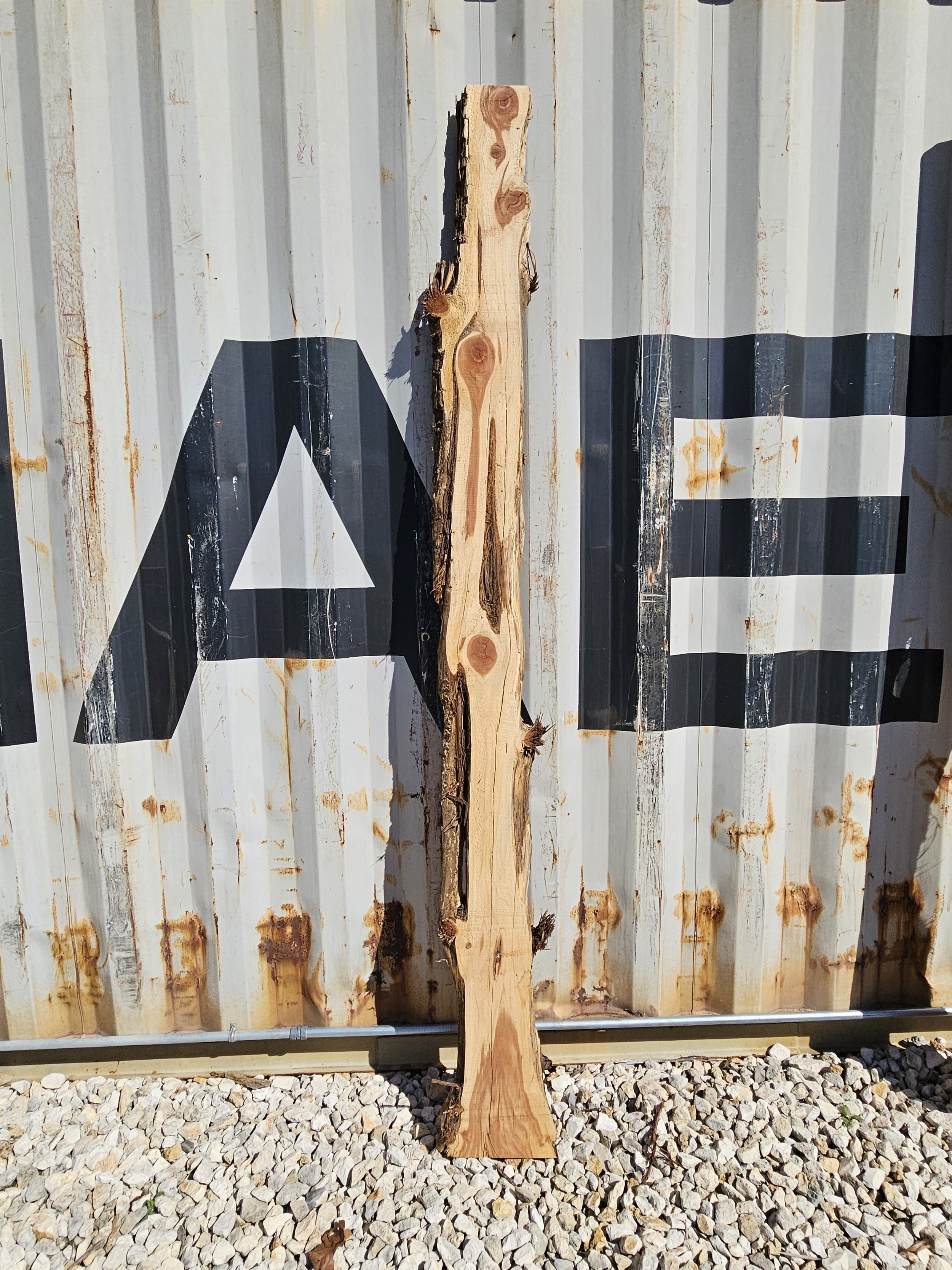 Cedar	8" W x 99" L x 1 1/2" T 	$50