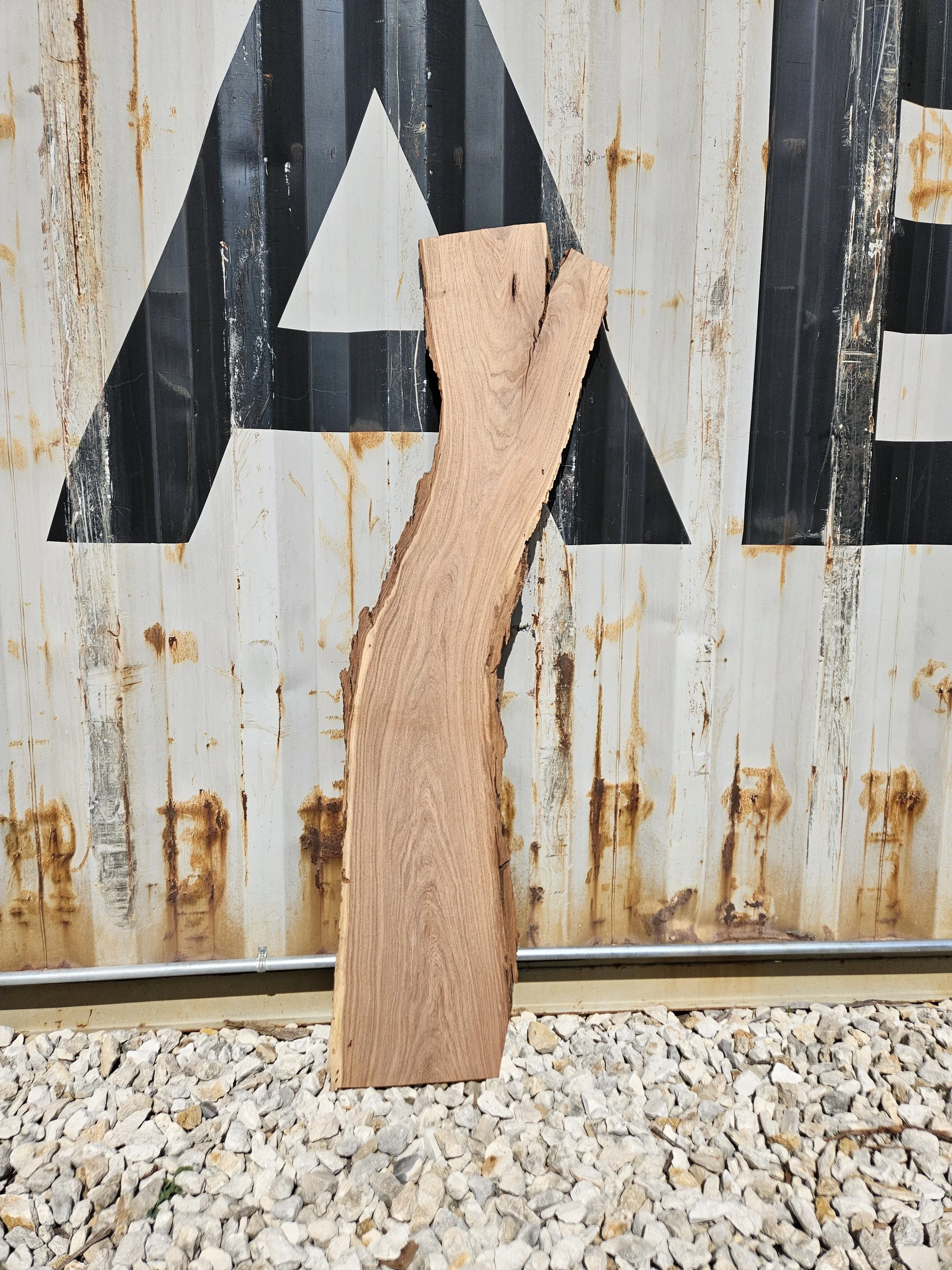 Mesquite	8-12" W x 59" L x 7/8" T	$50