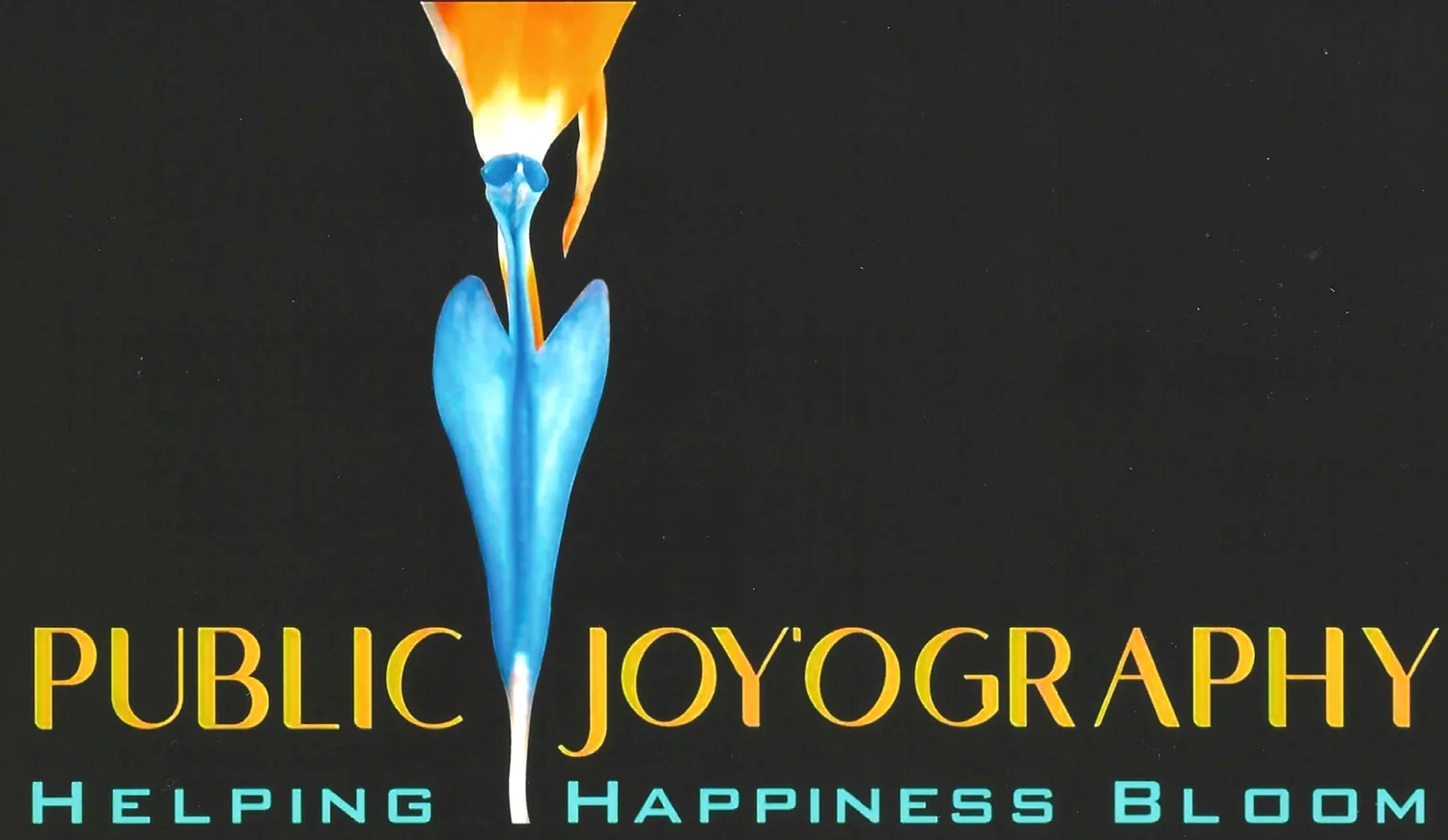 Public Joyography 