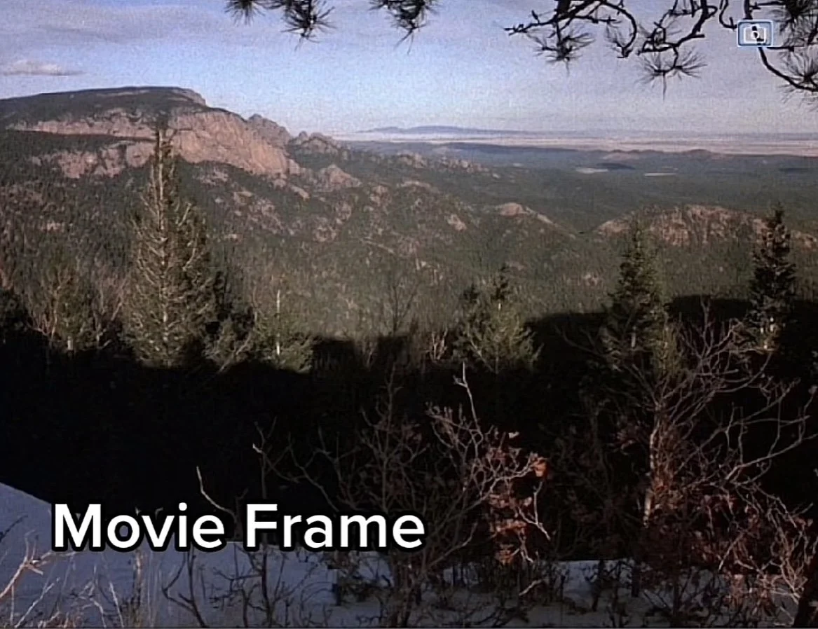 IMG_0952 movie.jpeg