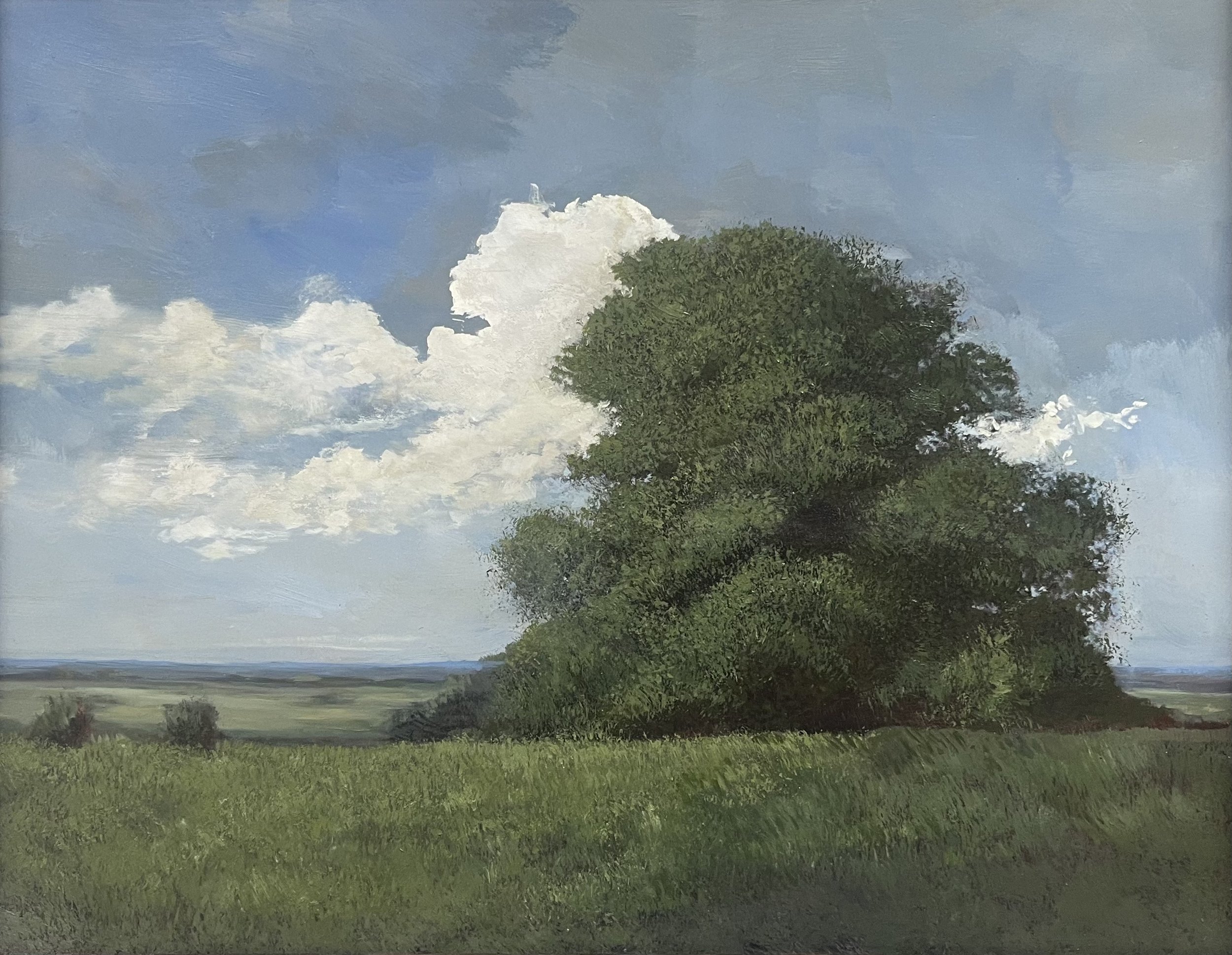 Landscape Oil Painting by Australian Artist Lachlan McKenzie
