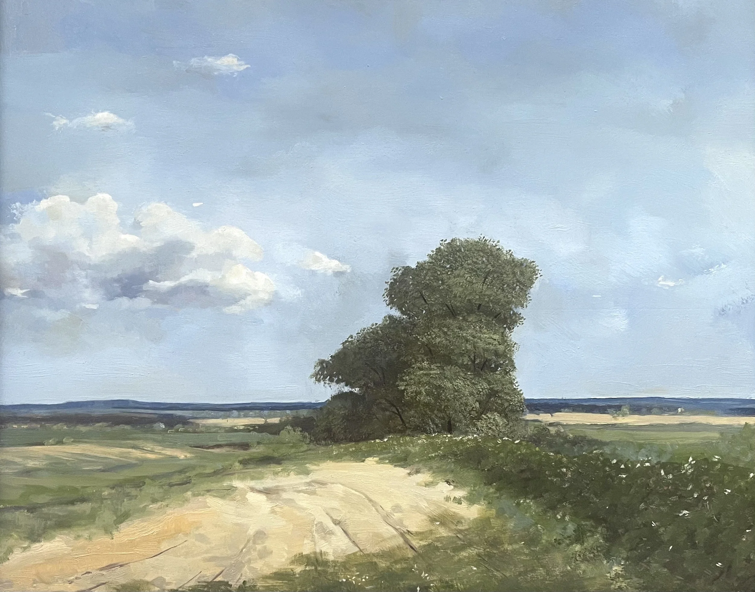 Landscape Oil Painting by Australian Artist Lachlan McKenzie