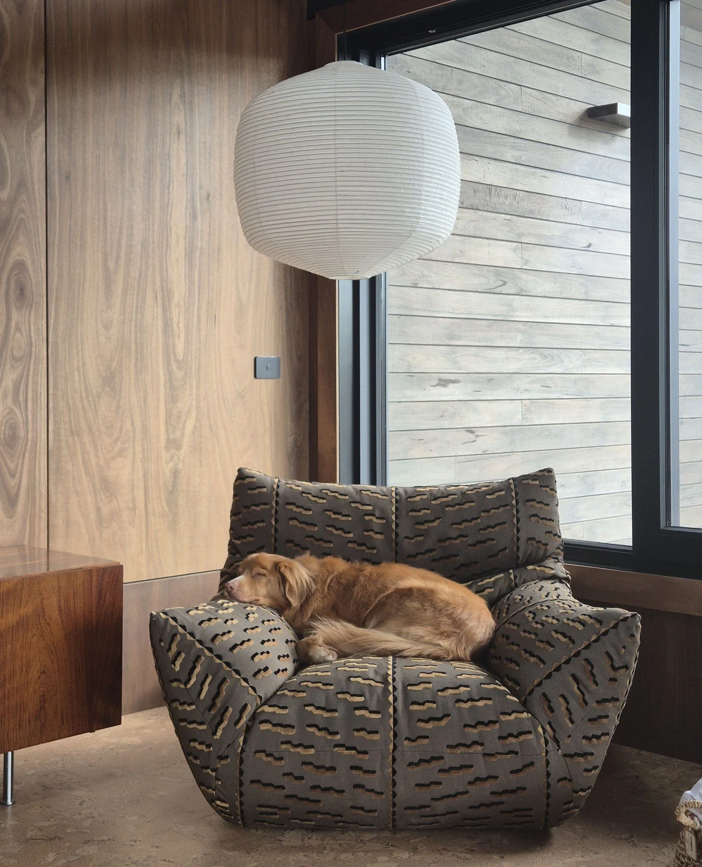 Soft light, cocooning timber tones and one very relaxed client. A little sneak peek of something special we&rsquo;ve been working on - full project reveal coming soon.⁠
⁠
Material Specification by @ip_architecture⁠
Furniture Curation by @brittwhitest