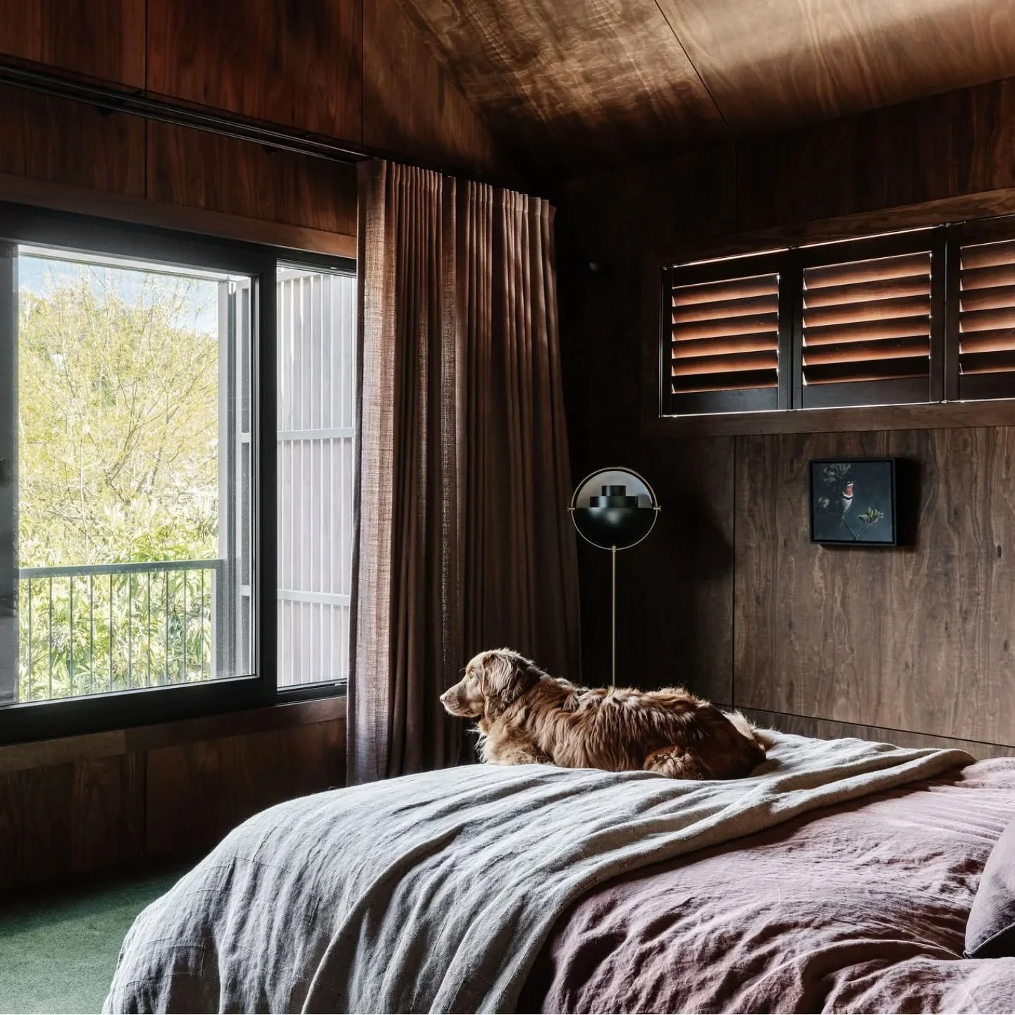 Seriously, this is dog heaven. Murray, sitting pretty in his new holiday home.

Interiors by @ip_architecture 
Furniture curation by @brittwhitestudio 
Pic by @marniehawson

#dogbeds #spoiltdogsofinstagram #happypupshappylife