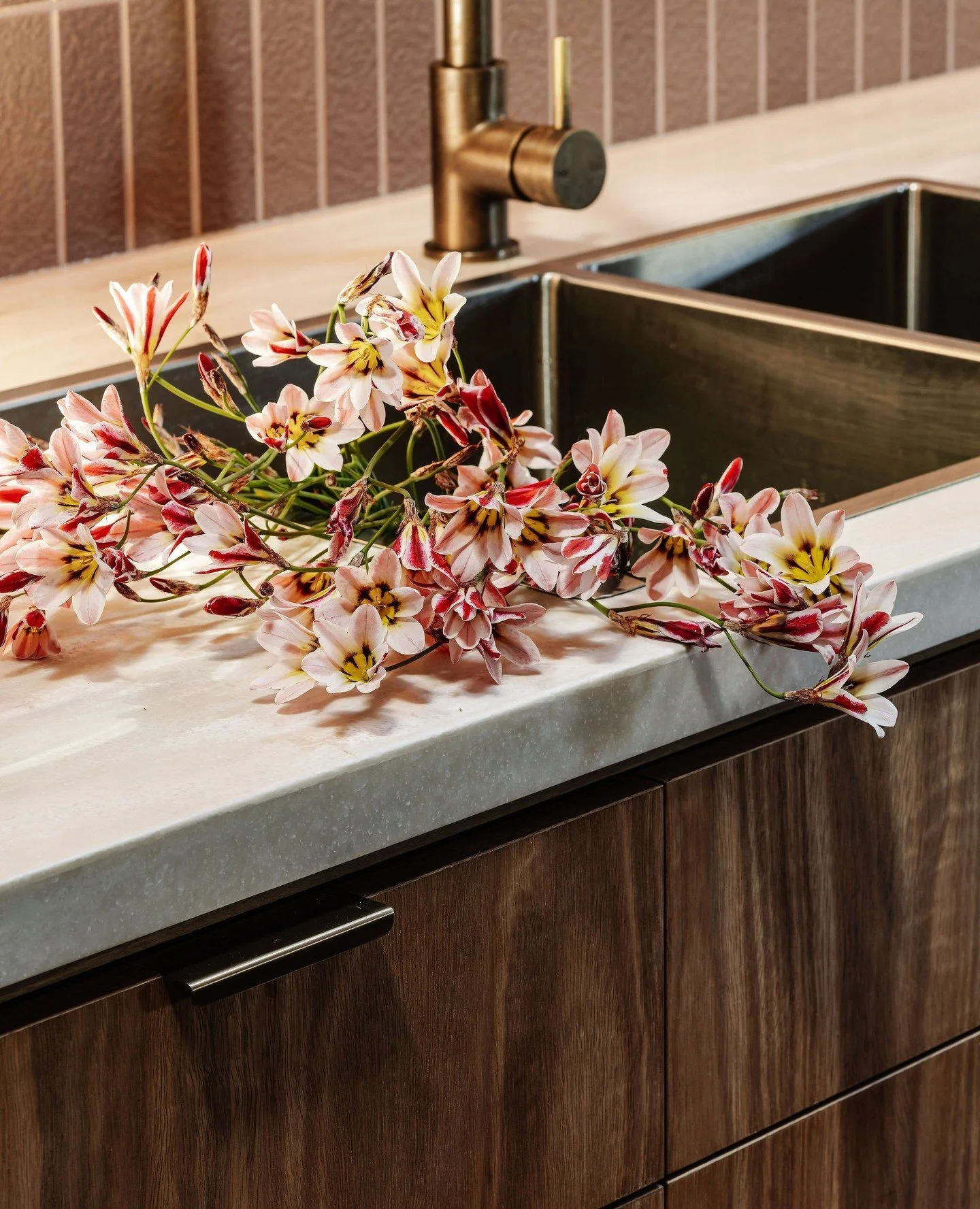 The Harlequin flower - a bit like this home itself - a shining star in this High Country landscape. A perfect colour match to this stunner of a kitchen.⁠
⁠
Styling by @brittwhitestudio⁠
Material Specification by @ip_architecture⁠
Pic by @marniehawson