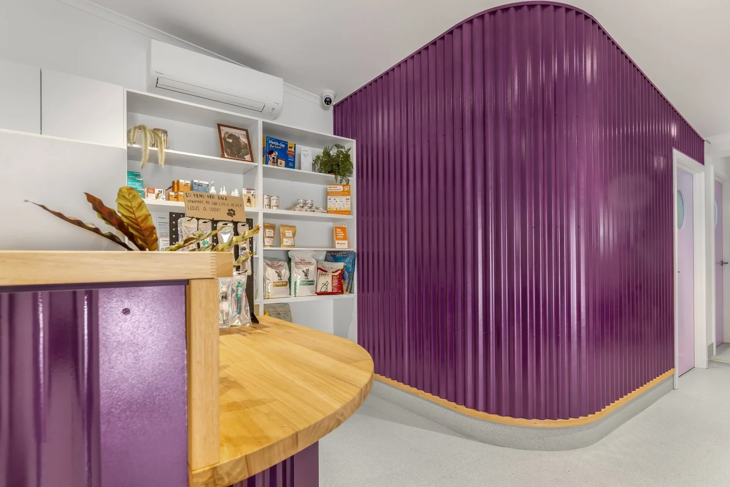 Curved purple corrugated iron wall, merchandise area and reception desk with hardwood top at Alpine Animal Doctors